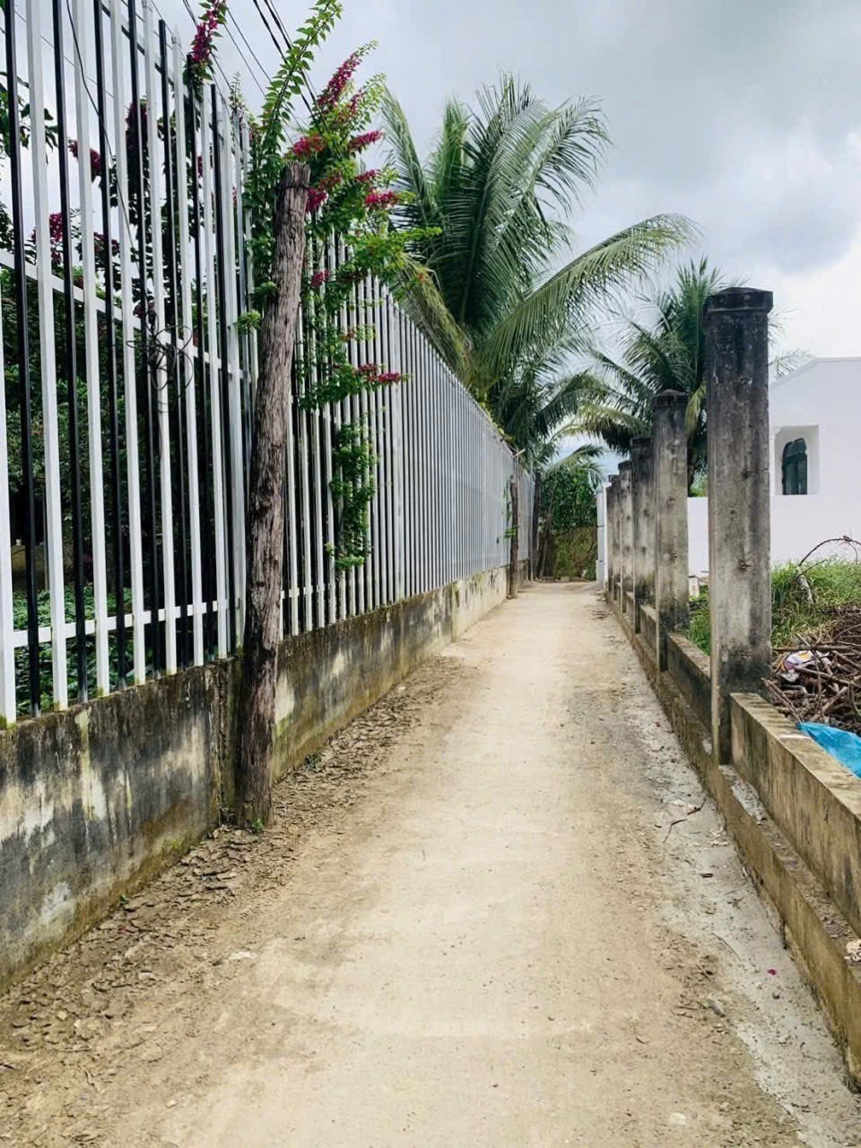 Bán đất Diên Điền thôn Trung 3 gần Hương Lộ 5 - dân cư đông đúc 2
