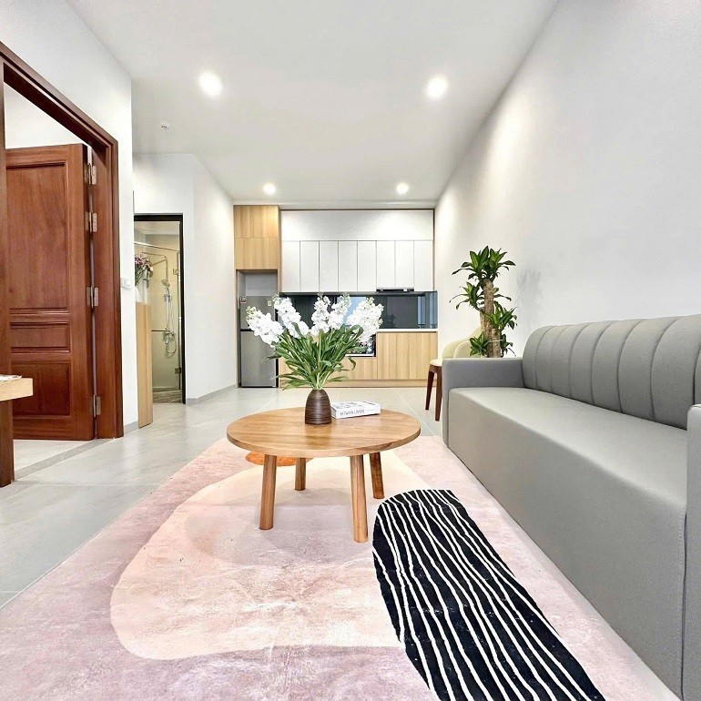 Cho thuê Căn hộ chung cư đường Trịnh Công Sơn, Phường Nhật Tân, Diện tích 50m², Giá 12 Triệu/tháng 7
