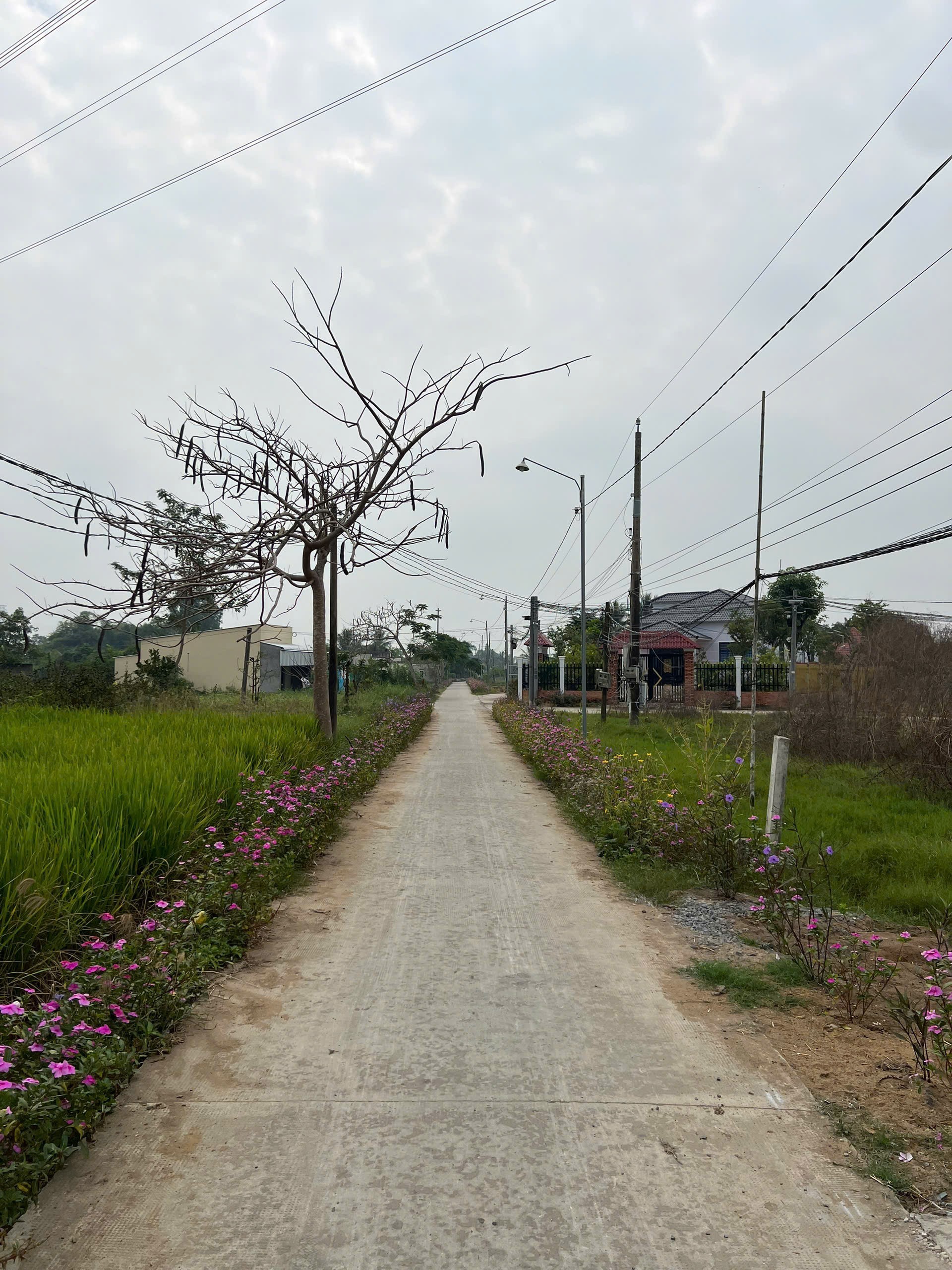 Đất thổ cư 160m2 mt đường xe hơi xã Tân Lân giá rẻ 720tr
