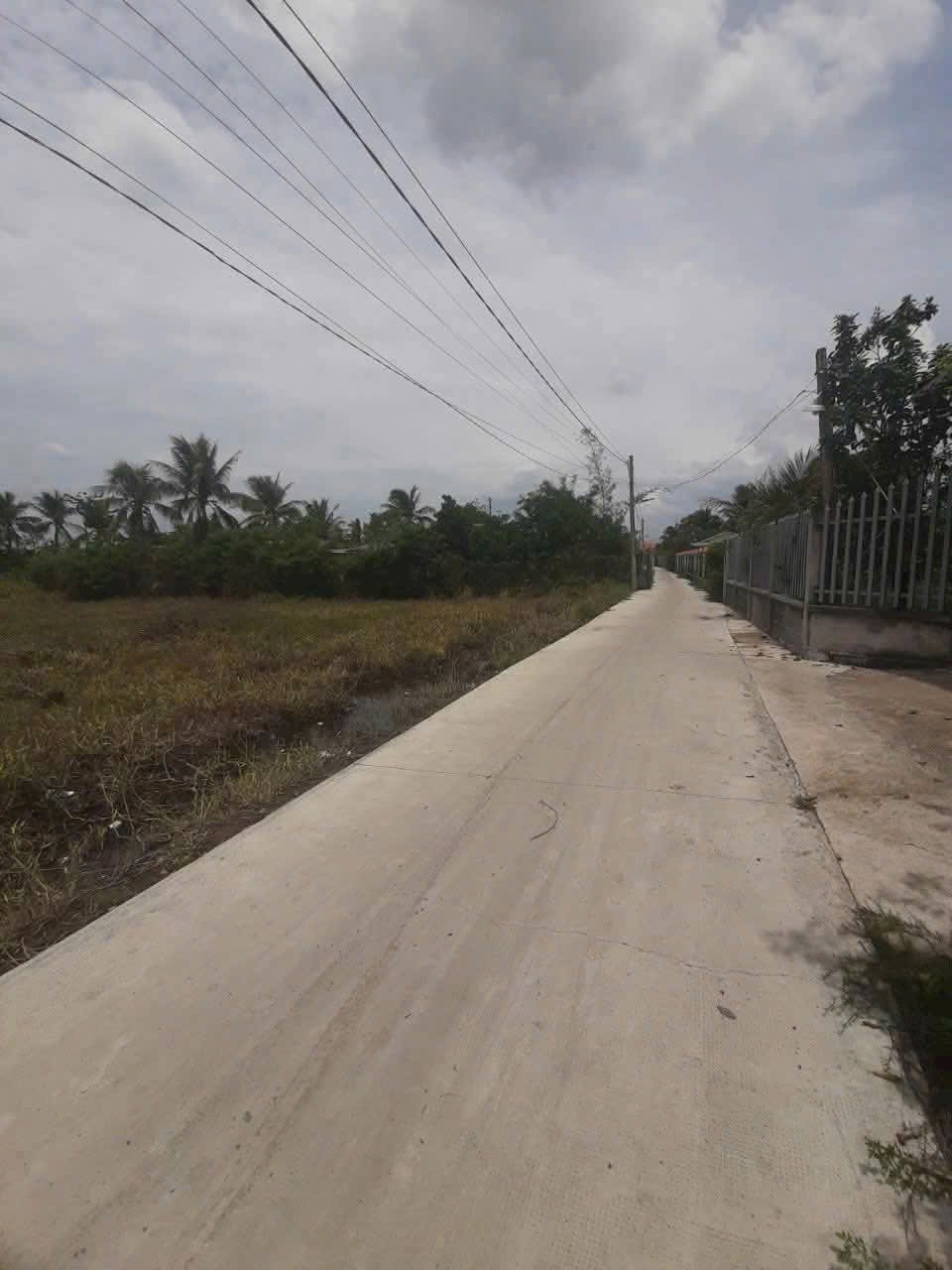 Bán đất Tân Trạch , Cần Đước tdt 1085m2 ( 239m2 thổ cư) thích hợp xây biệt thự, nhà vườn giá 2,45t 2