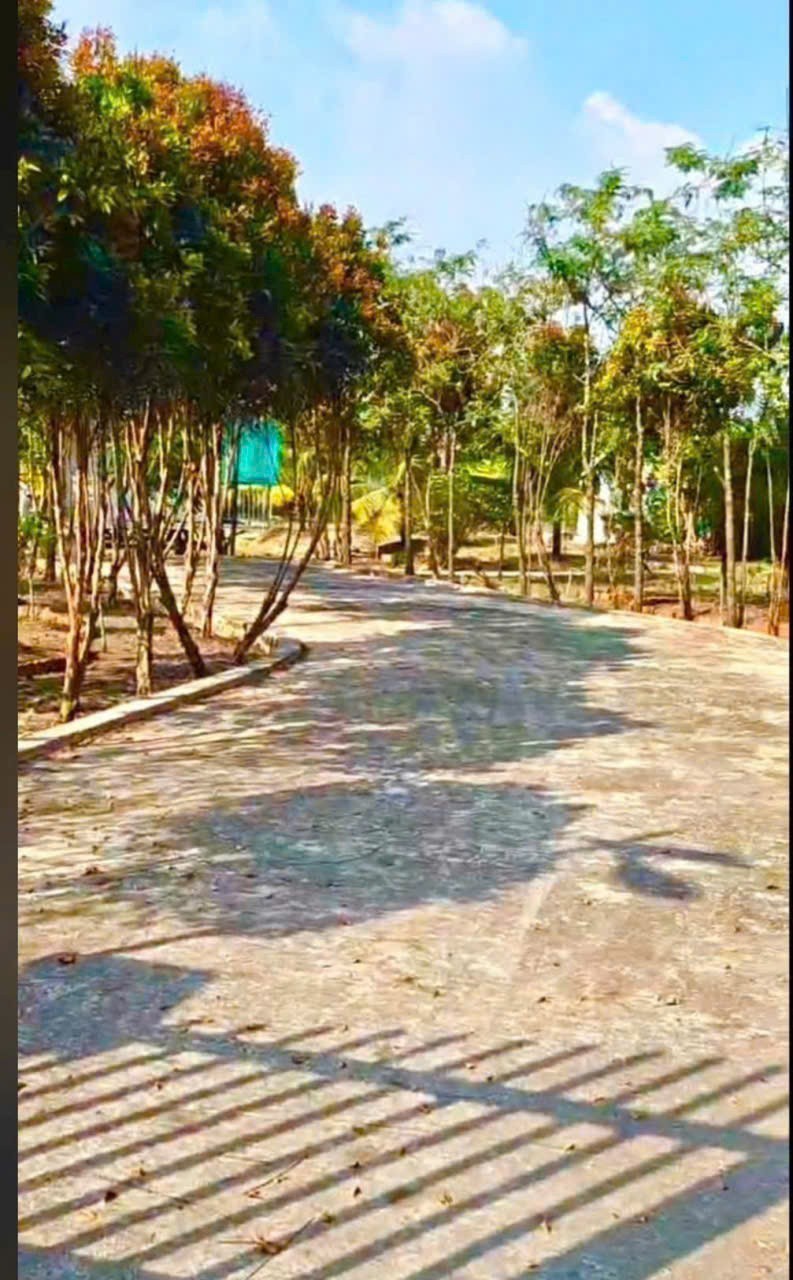 Bán gấp lô đất xã Hiệp Hòa tdt 6500m2 ( 300m2 thổ ) đường đá xanh 5m giá 5,5 tỷ 3