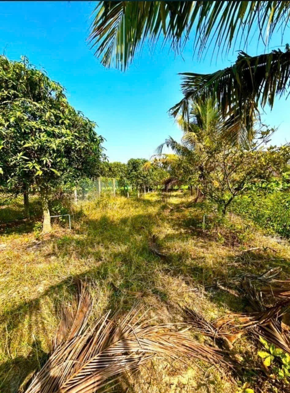 Bán gấp lô đất xã Hiệp Hòa tdt 6500m2 ( 300m2 thổ ) đường đá xanh 5m giá 5,5 tỷ 6