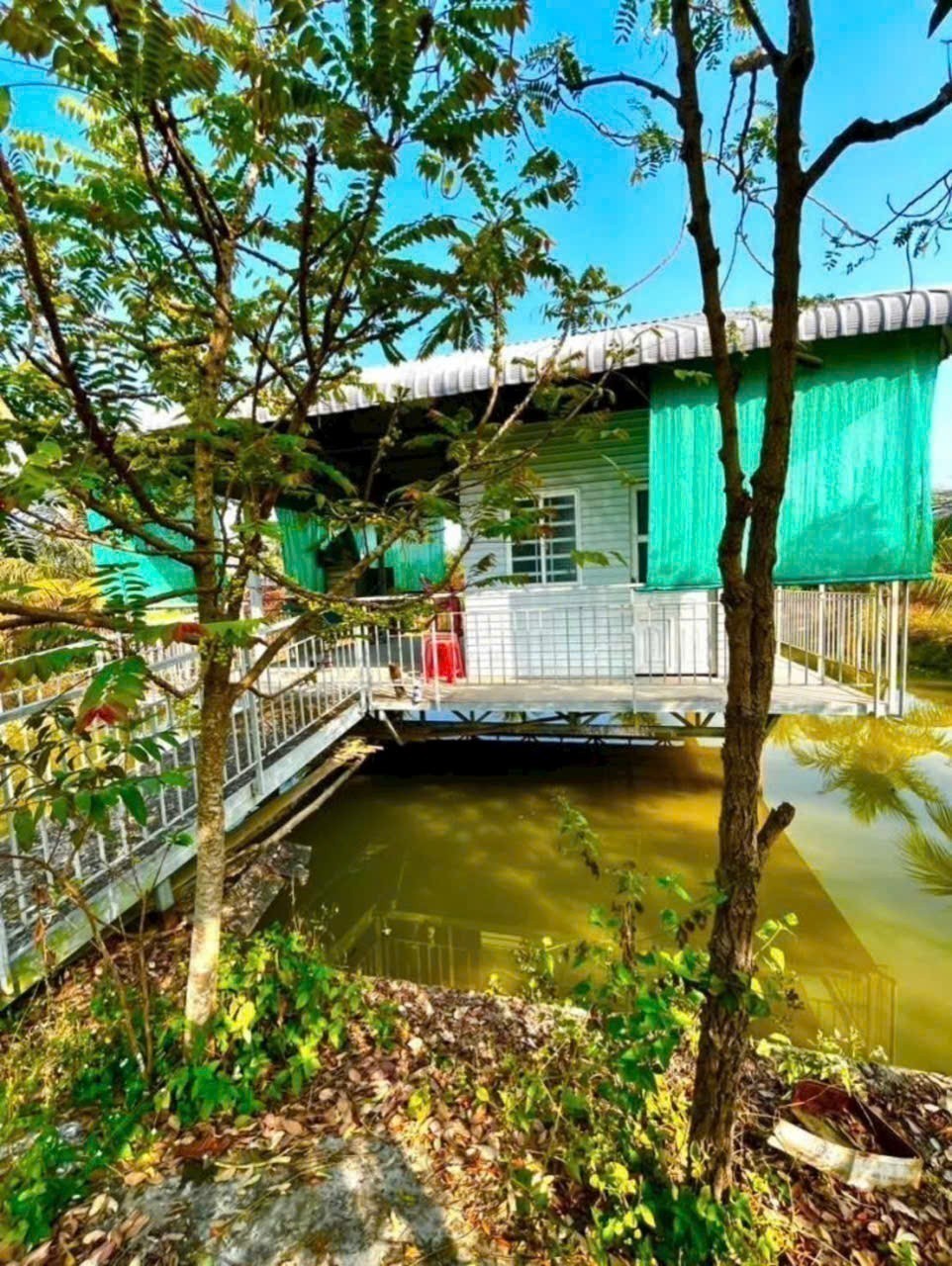 Bán gấp lô đất xã Hiệp Hòa tdt 6500m2 ( 300m2 thổ ) đường đá xanh 5m giá 5,5 tỷ 8