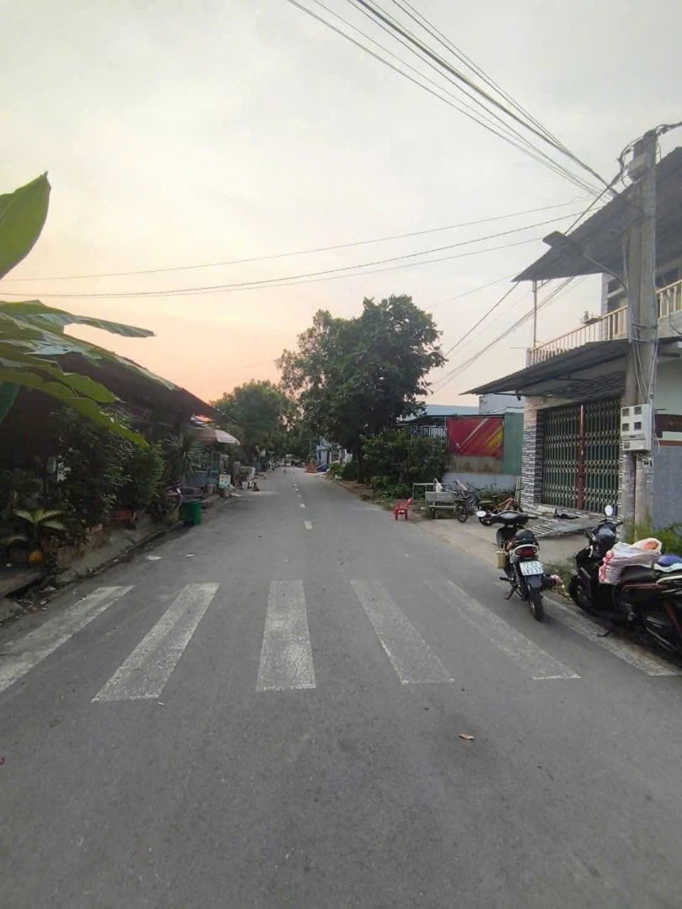 Bán nền thổ cư trong KDC Trung Thành , xã Long Trạch , Cần Đước dt 120m2 3