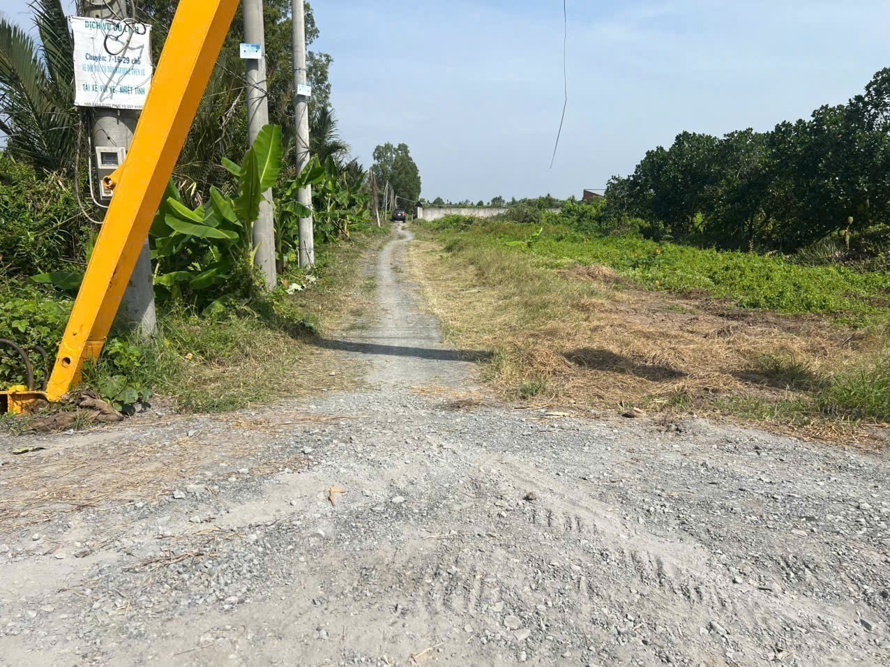 Bán đất vườn có tường rào bao quanh view kênh ở xã Bình Đức , Bến Lức dt 500m2 giá 950 triệu 5