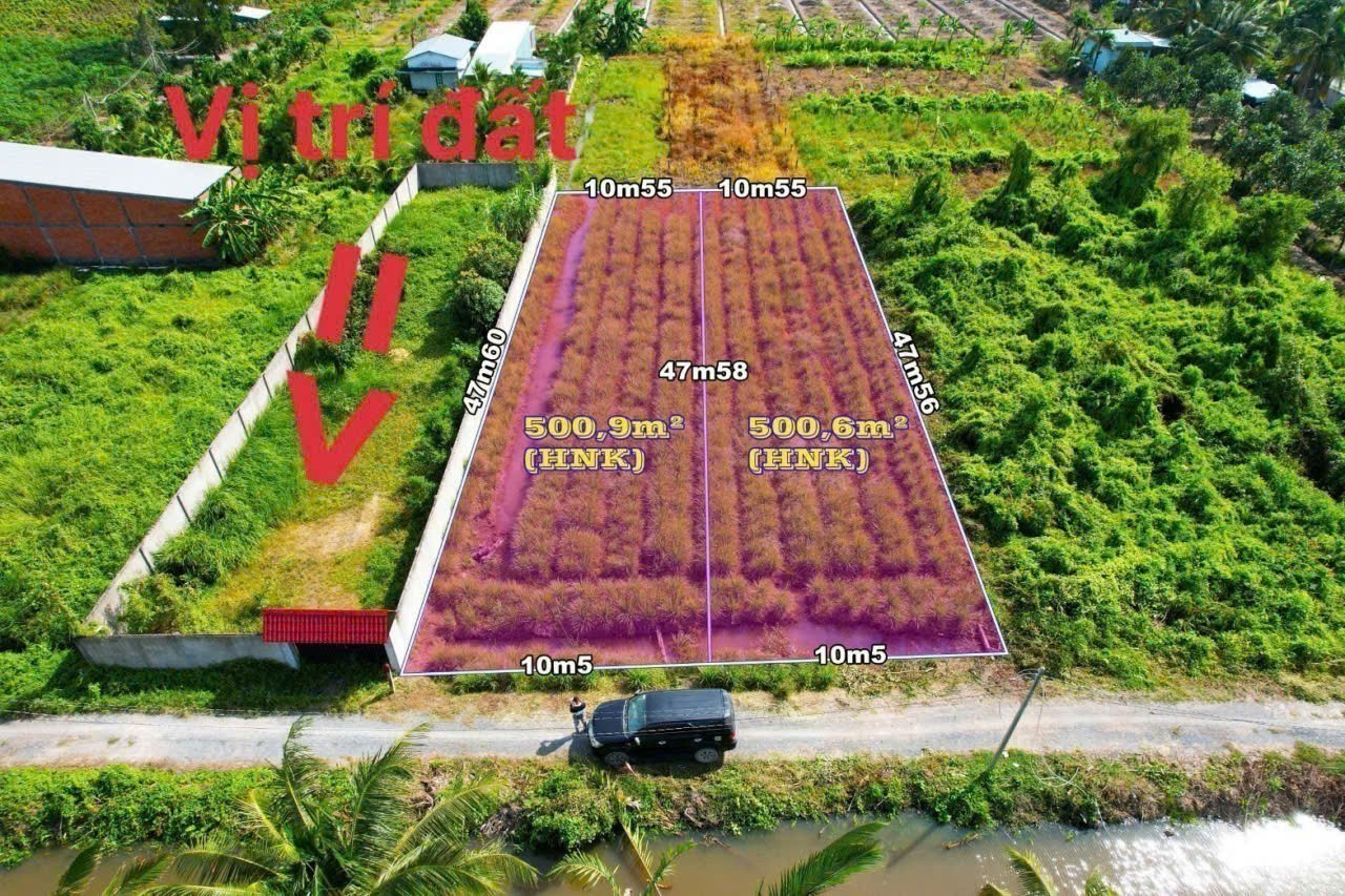 Bán đất vườn có tường rào bao quanh view kênh ở xã Bình Đức , Bến Lức dt 500m2 giá 950 triệu 7