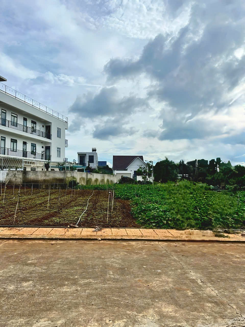Bán 113,5m2 Đất sổ riêng - Xã hiệp Thạnh - Đức Trọng - Lâm Đồng giá 1 tỷ 390tr 3