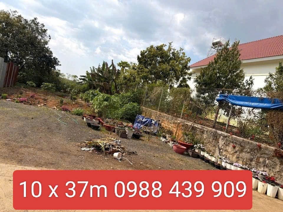 Bán 369,3m2 Đất - Đức Trọng - Lâm Đồng gần trung tâm giá 4 tỷ 3 3