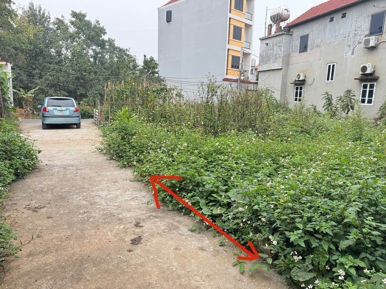 Bán Gấp Đất Thôn Phú Hữu, Thanh Lâm, Mê Linh - 57m2 Vuông Vắn - Giá Rẻ Nhất Khu Vực