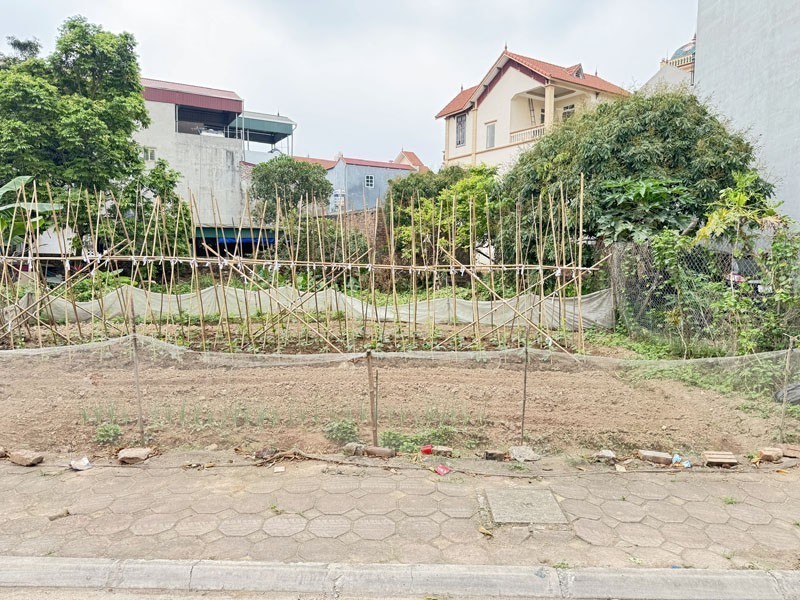 Bán đất đấu giá Đổng Xuyên 68,8m2 - Đường rộng thênh thang - Gần đường gom DT20 (Đê Vàng) 6