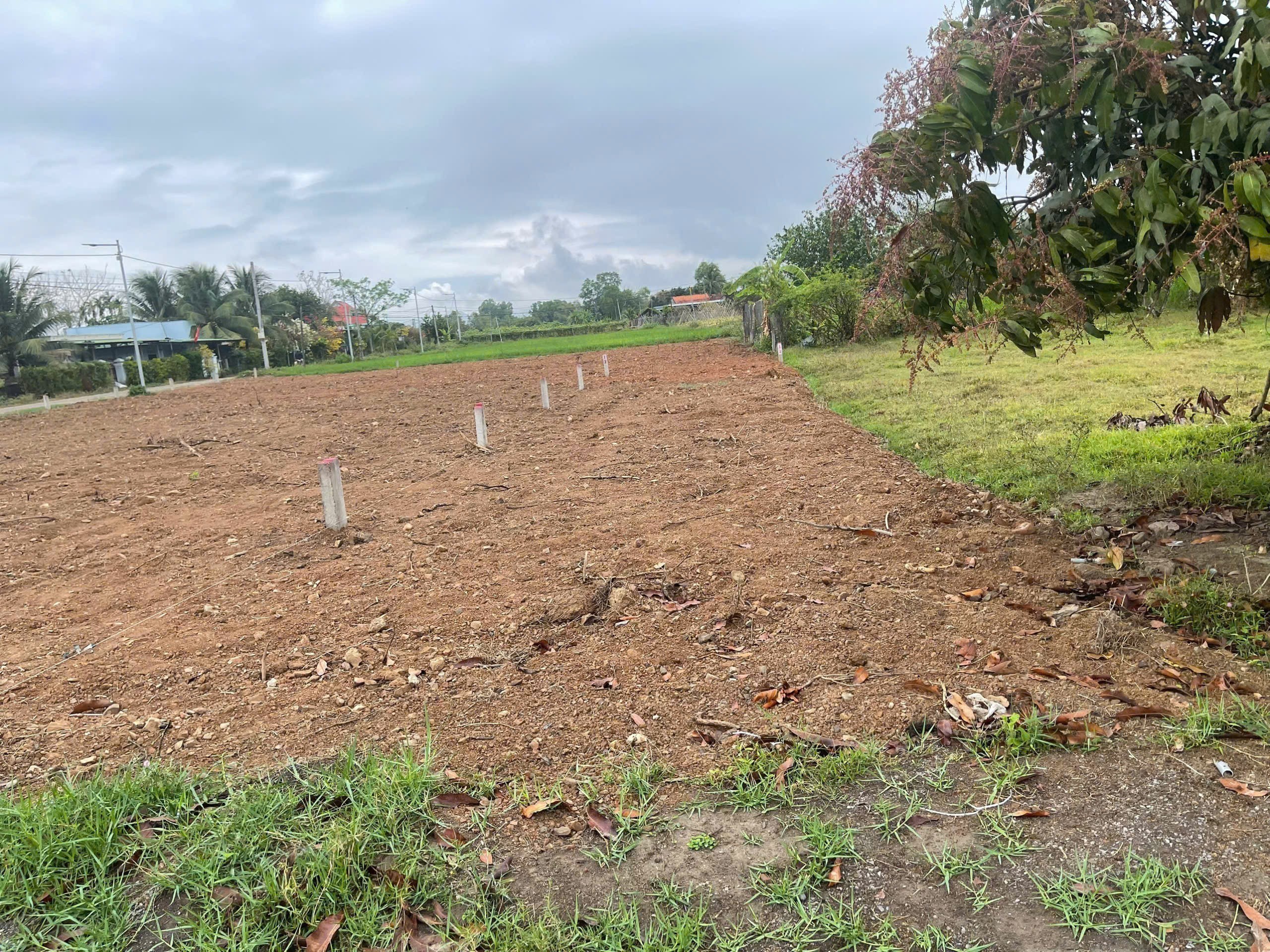 Cần bán Đất Xã Ninh Trung, Ninh Hòa, Diện tích 120m², Giá 250 Triệu 3