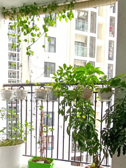 Cần bán Căn hộ chung cư dự án The Garden Hills - 99 Trần Bình, Diện tích 69m², Giá 3 Tỷ 10