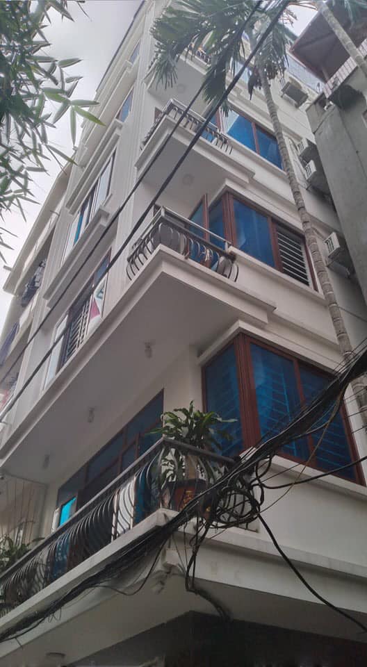 Cần bán Nhà ở, nhà cấp 4, nhà hẻm Cầu Giấy, Hà Nội, Diện tích 52m², Giá 13.5 Tỷ
