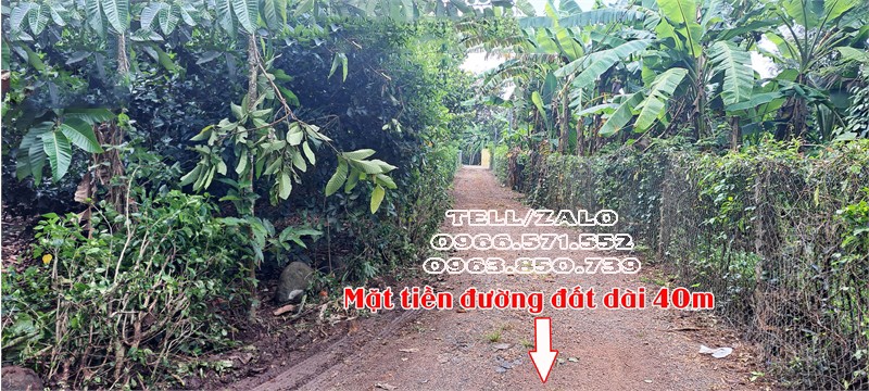 Cần bán đất vườn 2 mặt tiền 27m x40m || Bảo Quang- Long Khánh|| Giá Chỉ 2,3 tỷ .