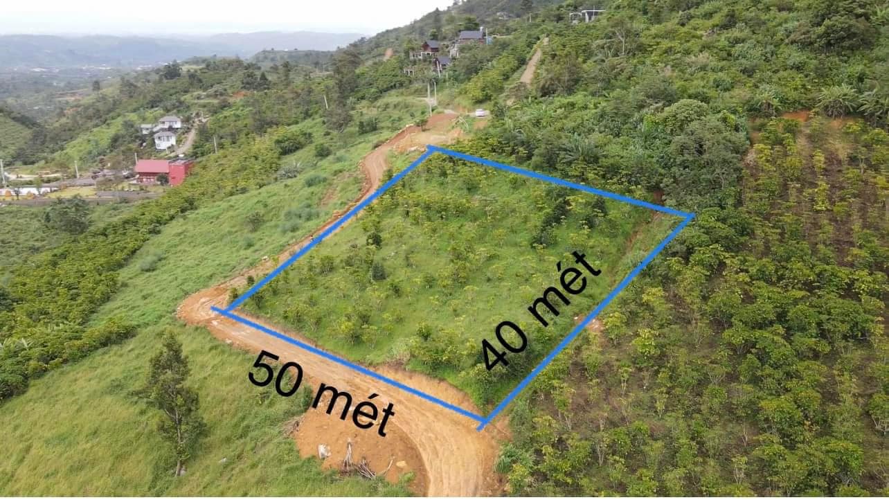 Cần bán Đất Xã Lộc Thành, Bảo Lâm, Diện tích 2200m², Giá Thương lượng 3