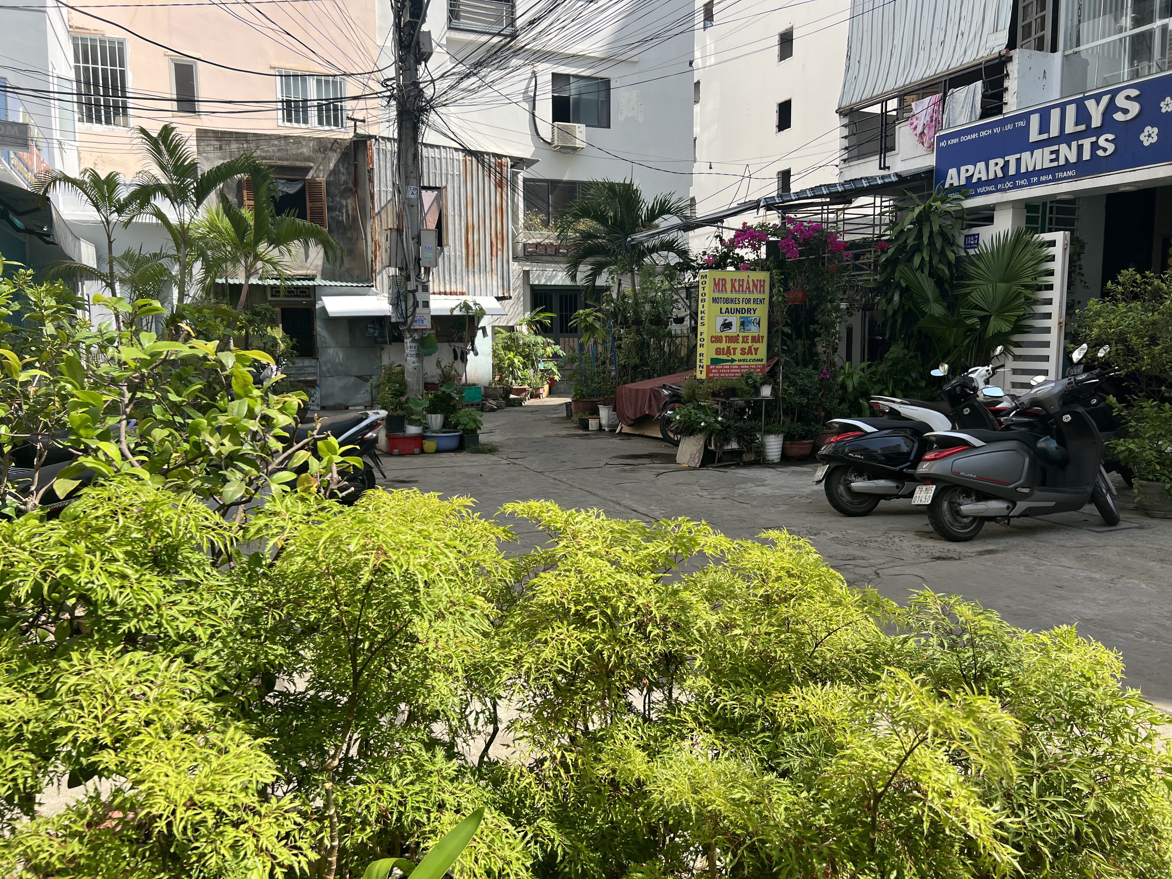 Cần bán Nhà ở, nhà cấp 4, nhà hẻm Phường Lộc Thọ, Nha Trang, Diện tích 85m², Giá 8 Tỷ 4