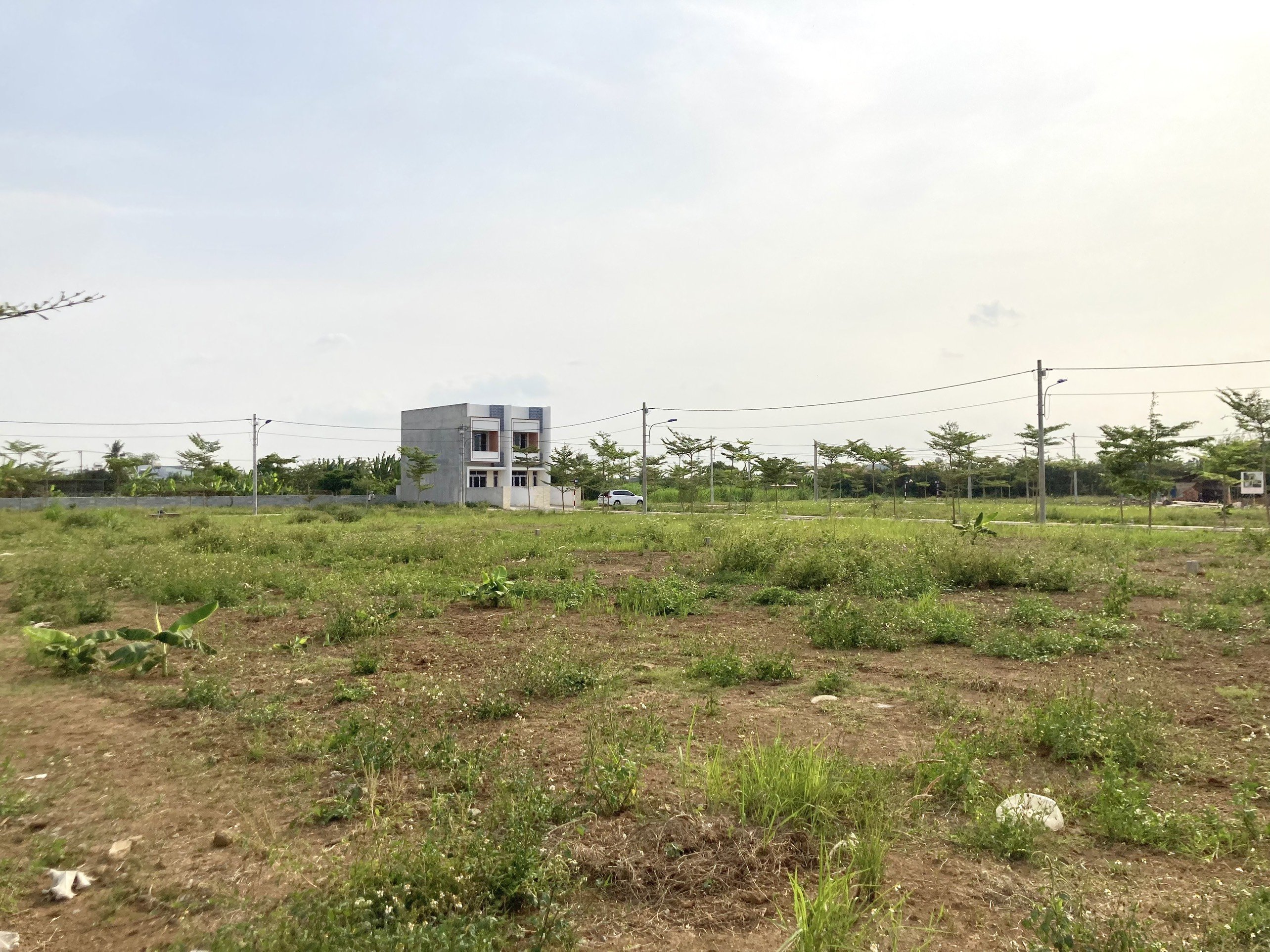 Cần bán Đất đường Hương Lộ 9, Xã Tân Bình, Diện tích 84m², Giá 1,5 Tỷ 12