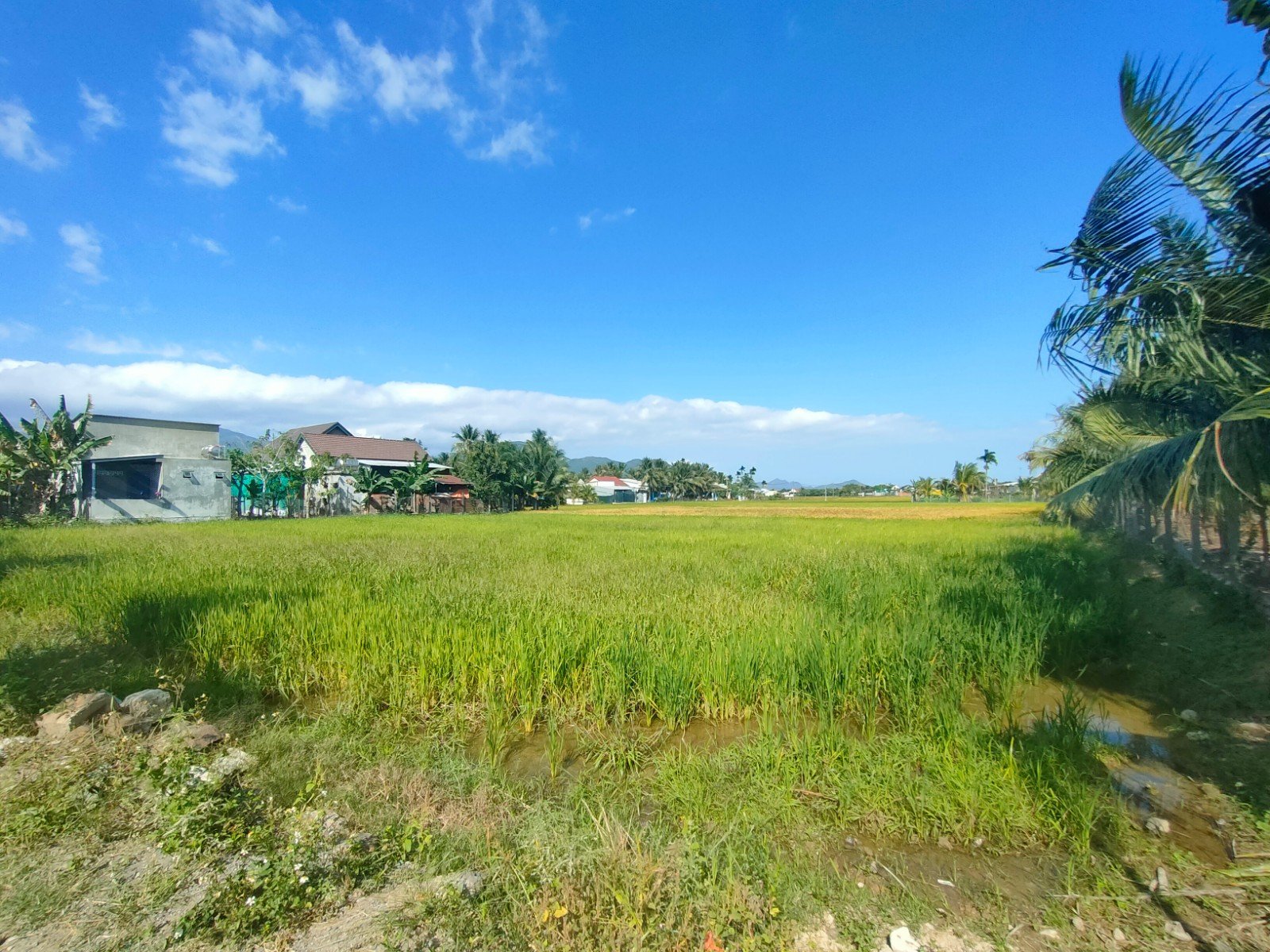 Cần bán Đất đường 2, Xã Diên Sơn, Diện tích 220m², Giá 880 Triệu 3