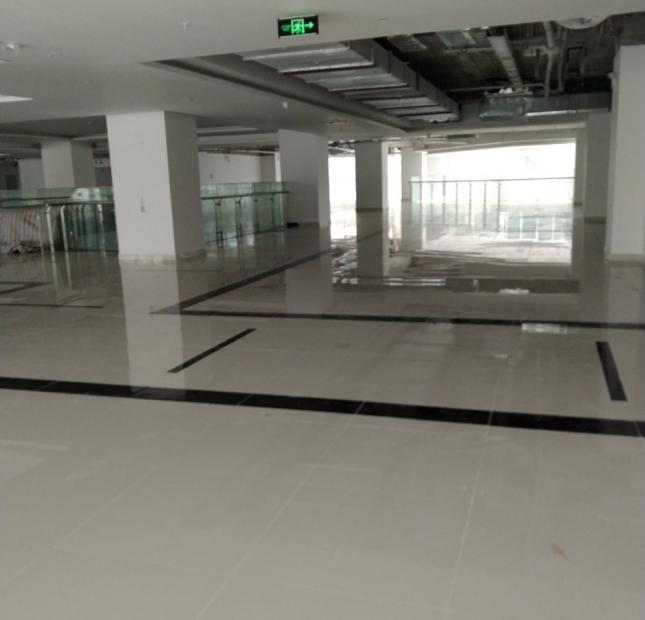 Cho thuê Văn phòng Phường Thanh Xuân Trung, Thanh Xuân, Diện tích 200m², Giá Thương lượng 6