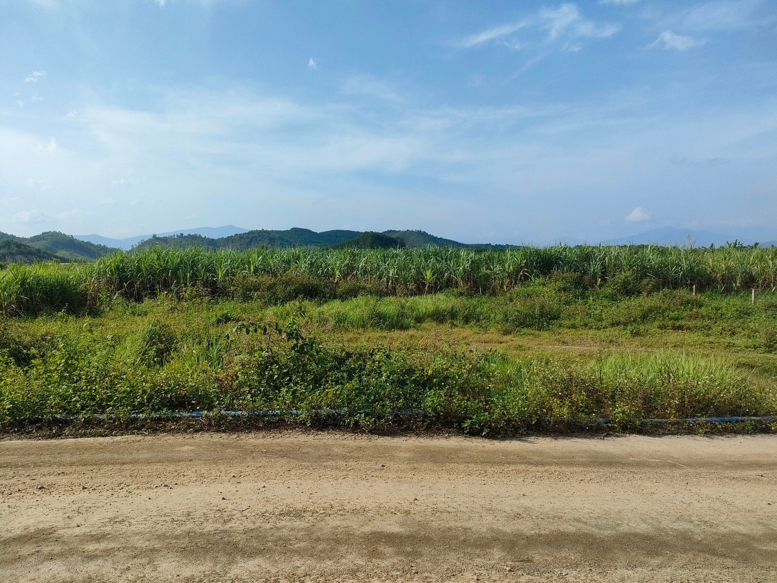 Bán đất làm vườn Diên Đồng gần Tỉnh Lộ 8 3