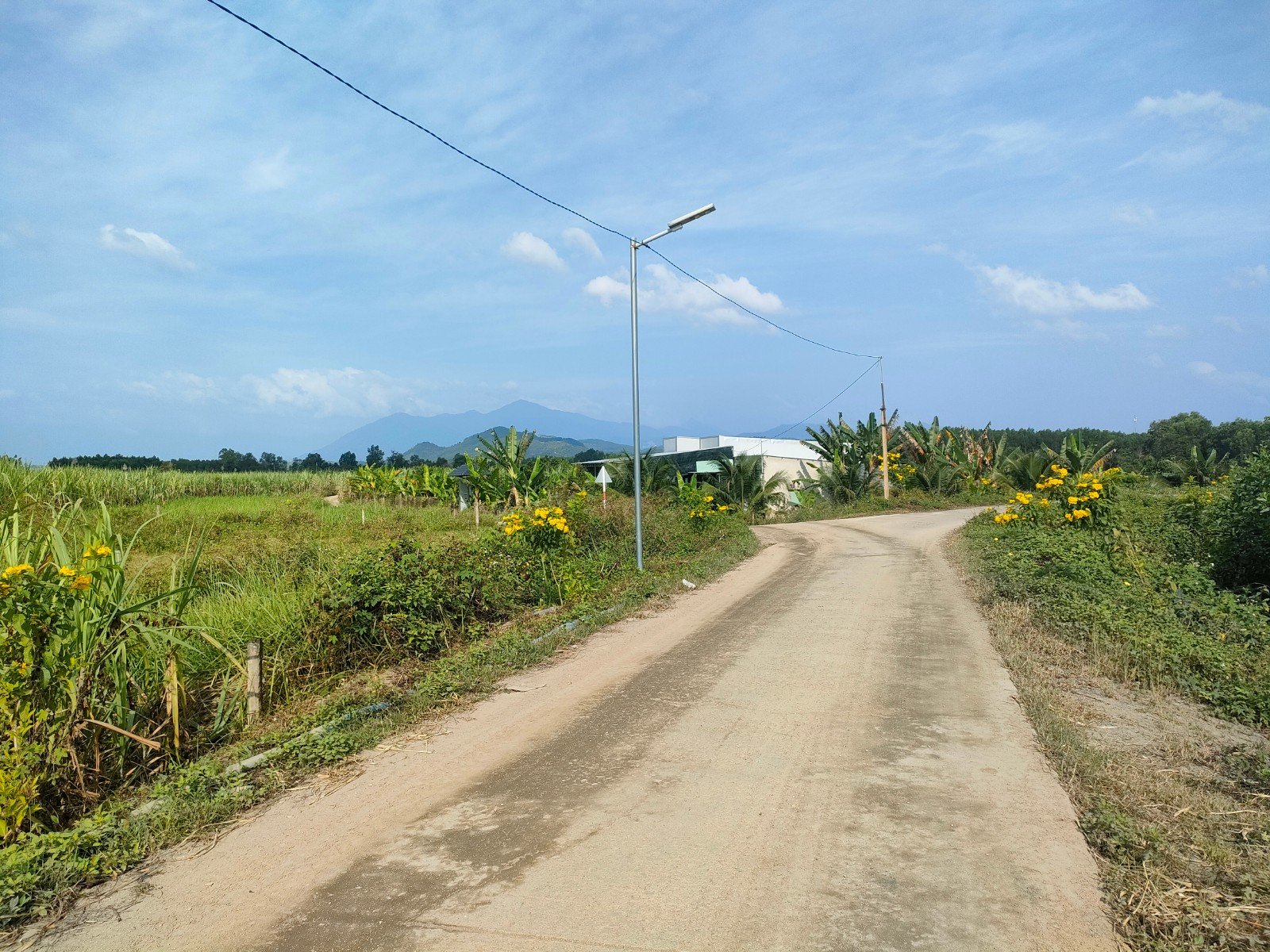 Bán đất làm vườn Diên Đồng gần Tỉnh Lộ 8