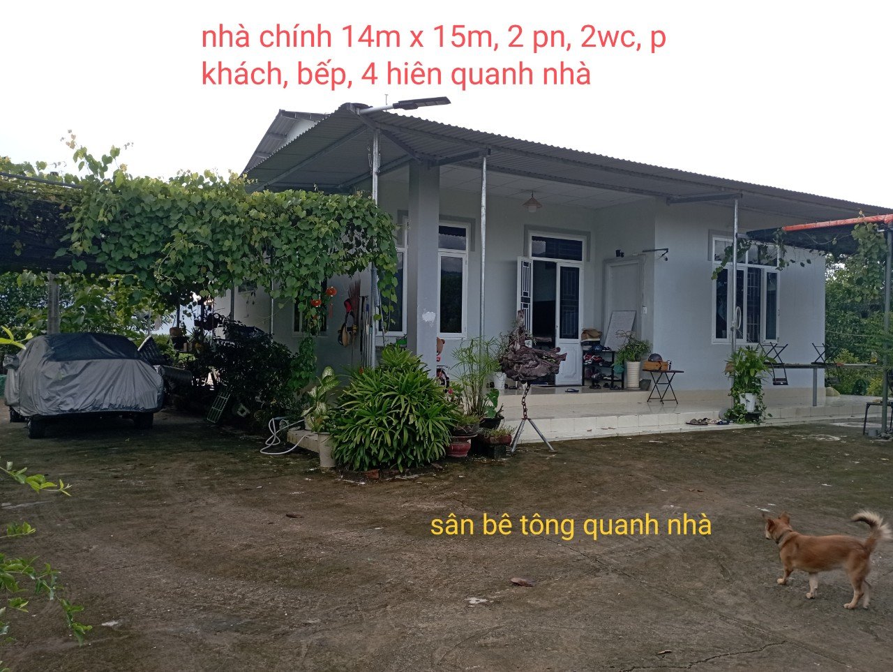 Cần bán Đất đường 8, Xã Khánh Hiệp, Diện tích 9600m², Giá 2800 Triệu 4