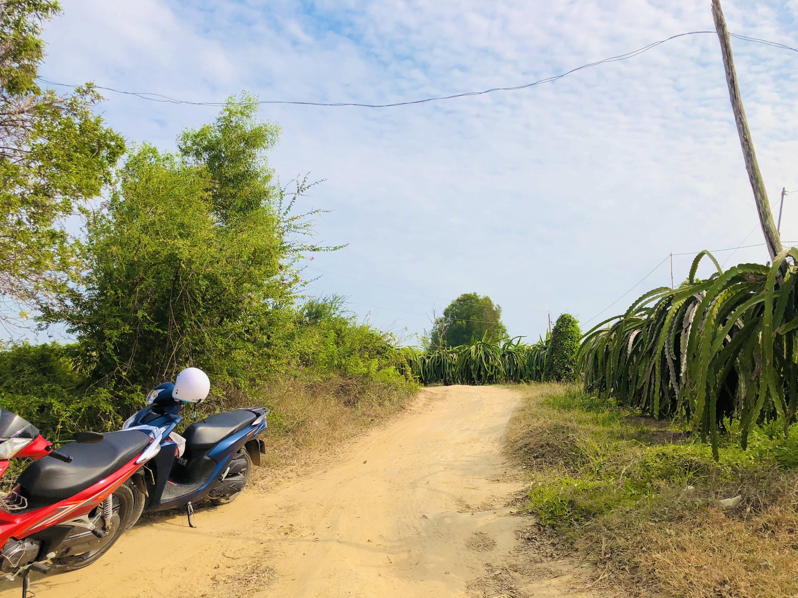 Bán 1035m2 2MT rộng 5m Tân Hải, Lagi giá 1 tỷ 3