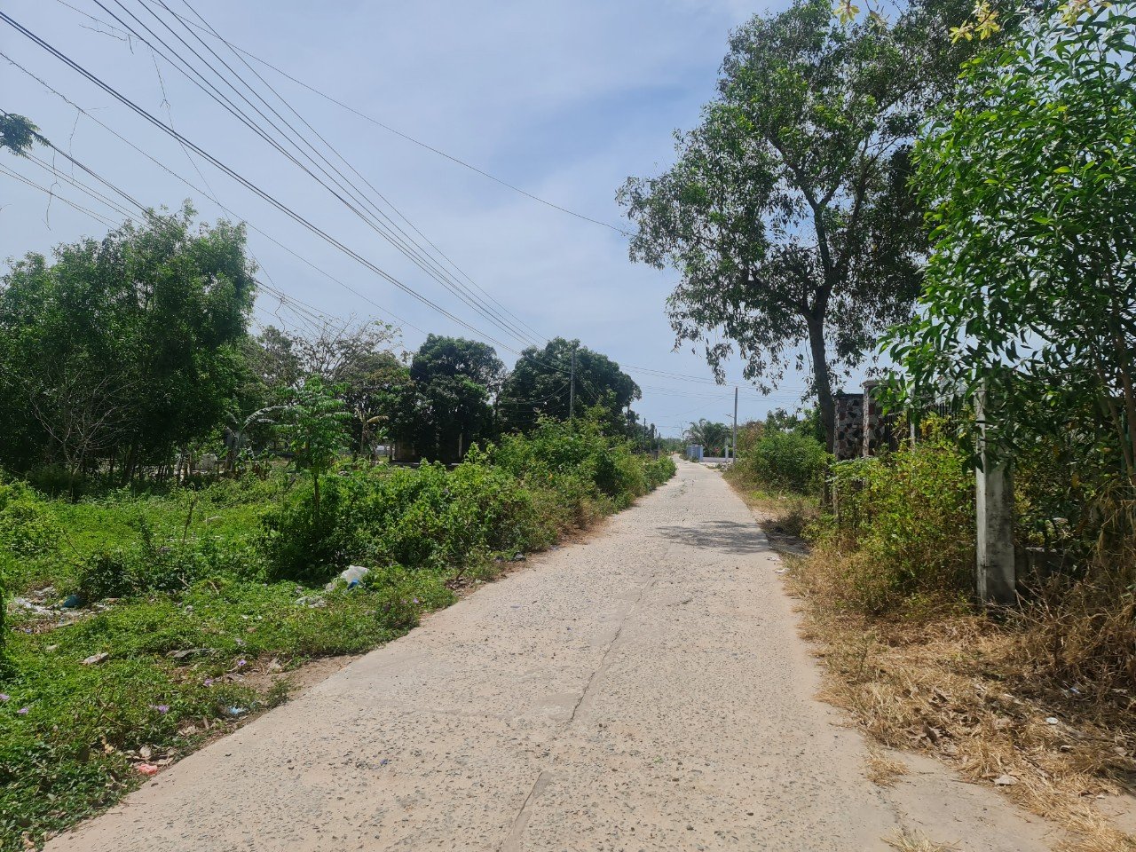 Cần bán Đất đường 55, Xã Tân Phước, Diện tích 247m², Giá 2 Tỷ 1