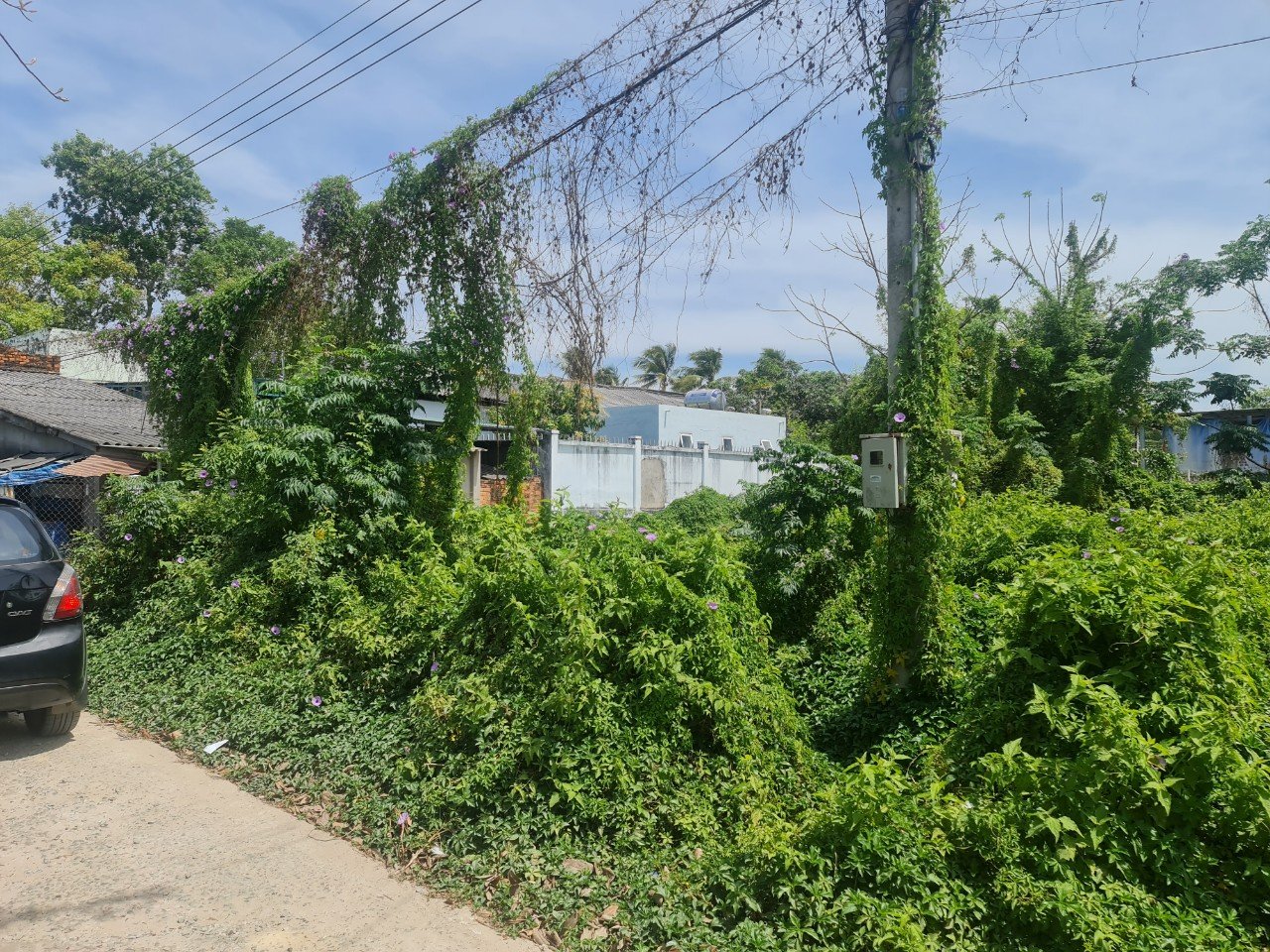 Cần bán Đất 2 mặt tiền đường quốc lộ 55, Xã Tân Phước, Diện tích 247m², Giá Thương lượng 2