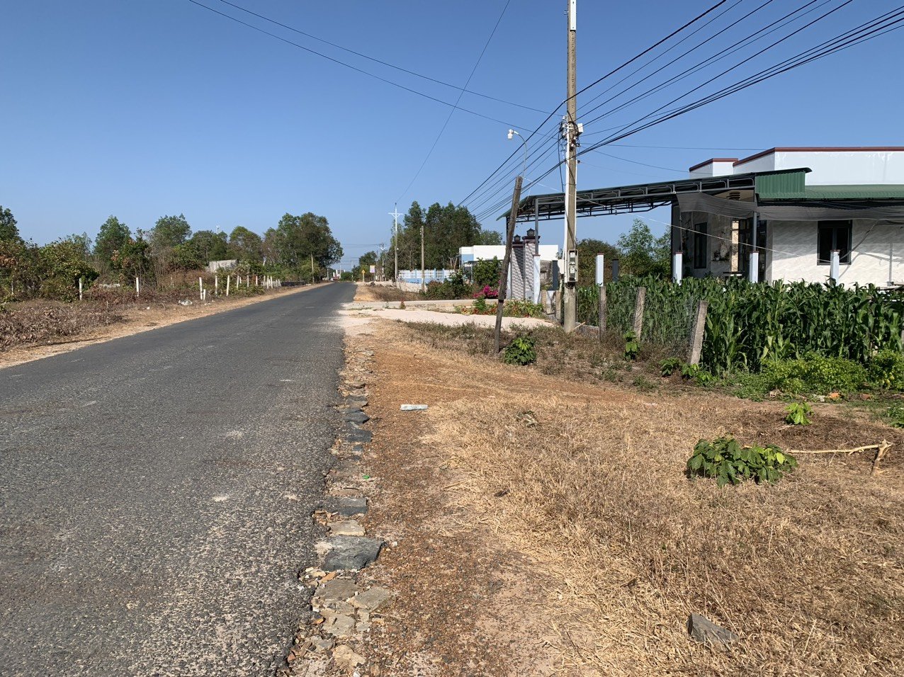 Cần bán Đất 5x60 đường Nguyễn Thông, Xã Tân Bình, Diện tích 297m², Giá NGỢP