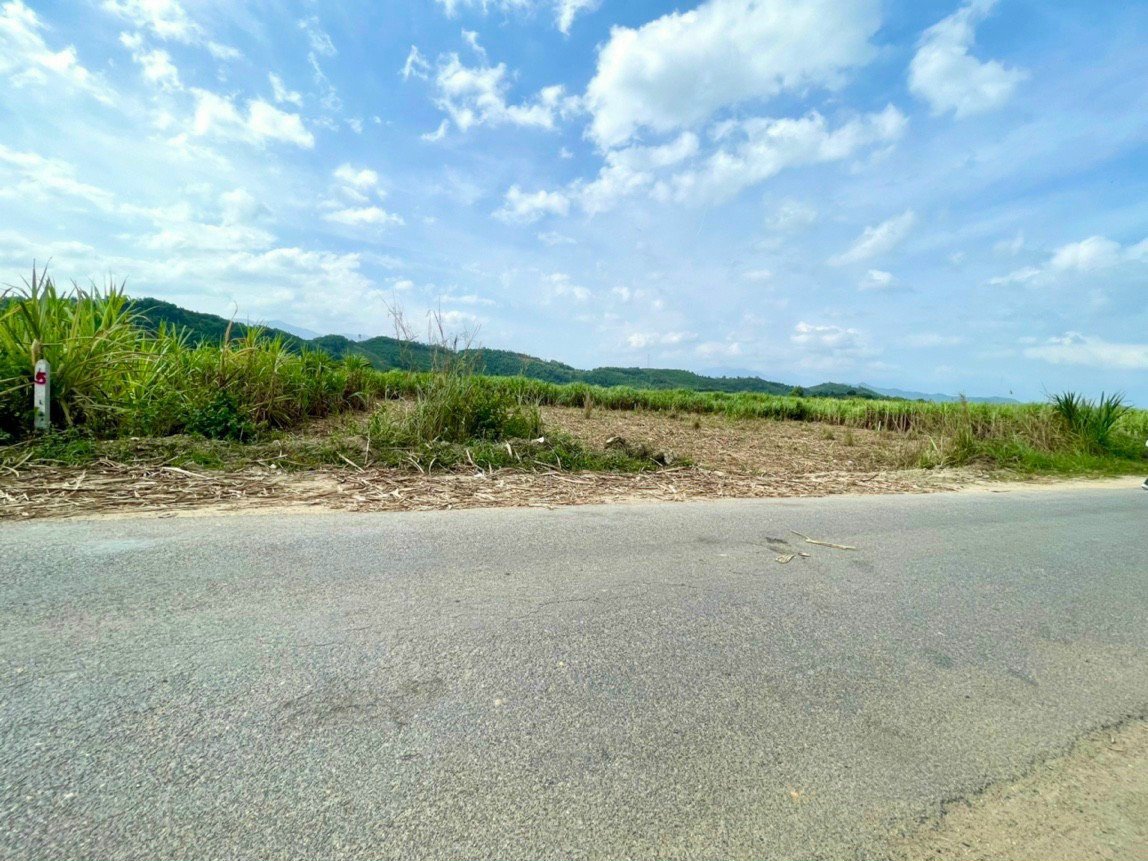 Bán đất mặt tiền đường quy hoạch 26m Diên Đồng - Ngang 36m - Giá 1,8 tr/m2 2