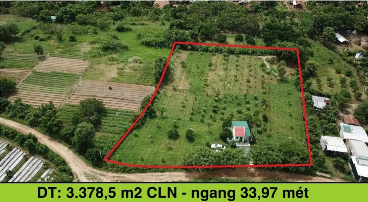 Bán đất nhà vườn Ninh Hòa - Đã đăng ký 1000m2 thổ cư - Ngang 34m - Đường ô tô 2