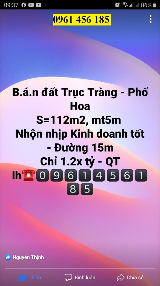 Bán đất Trục Tràng - Phố Hoa, Việt Yên, Bắc Giang - 112m2, mặt tiền 5m, Kinh Doanh, chỉ 1.25 tỷ 3