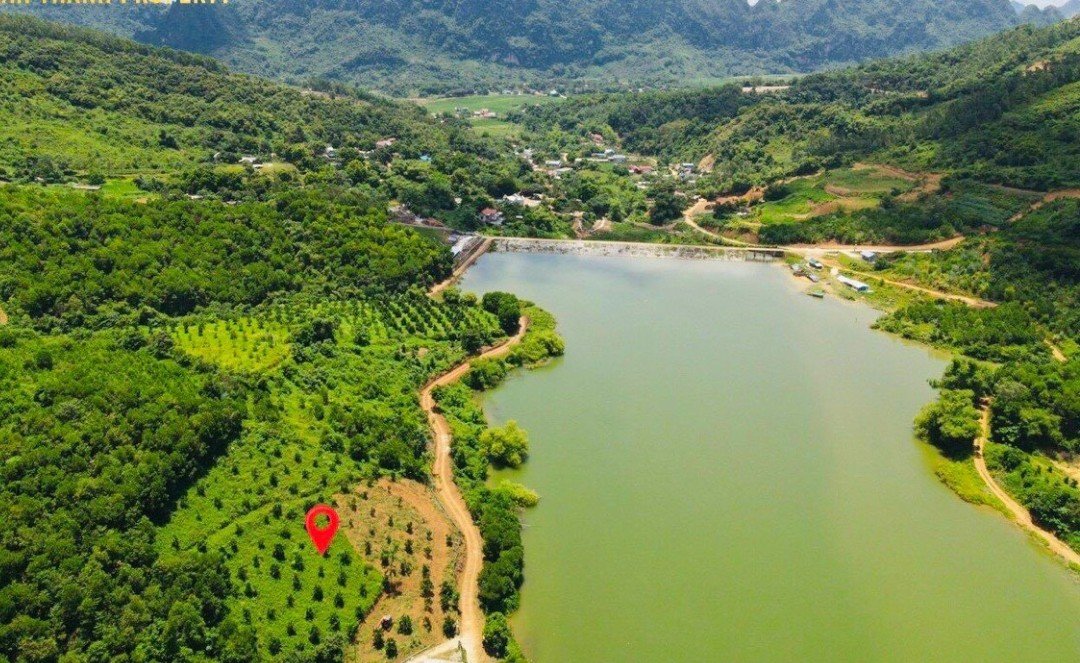 Cần bán Đất đường Hồ Chí Minh, Xã Liên Sơn, Diện tích 1200000m², Giá 24 Tỷ 2