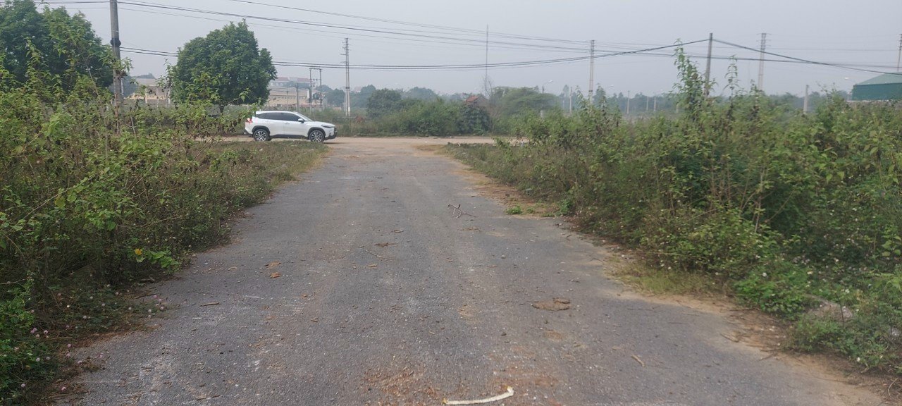 Cần bán Đất đường 21, Xã Bình Yên, Diện tích 124m², Giá 2.05 Tỷ 2