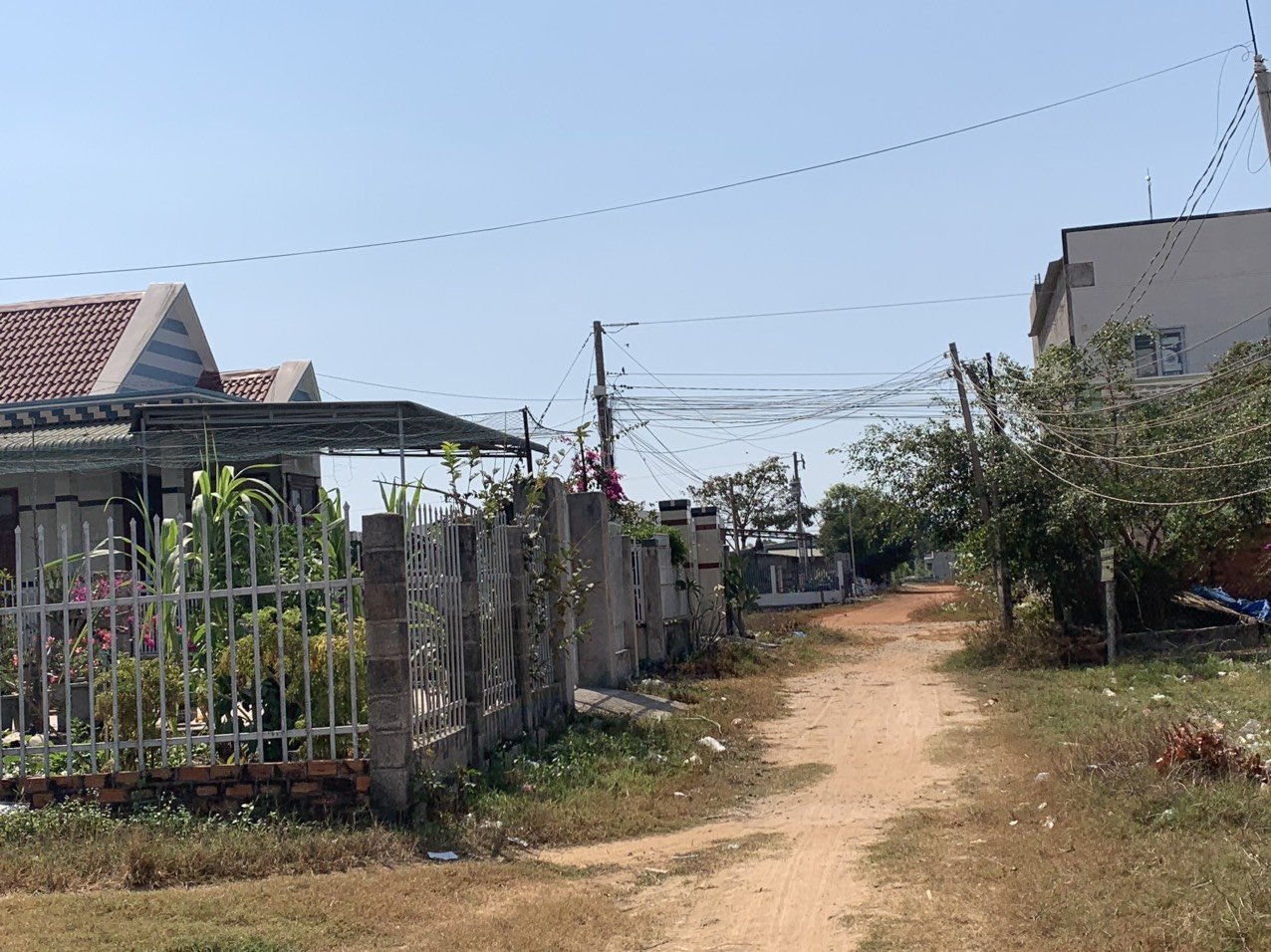 Cần bán Đất đường Nguyễn Thông, Xã Tân Bình, Diện tích 121m², Giá 1 Tỷ 5