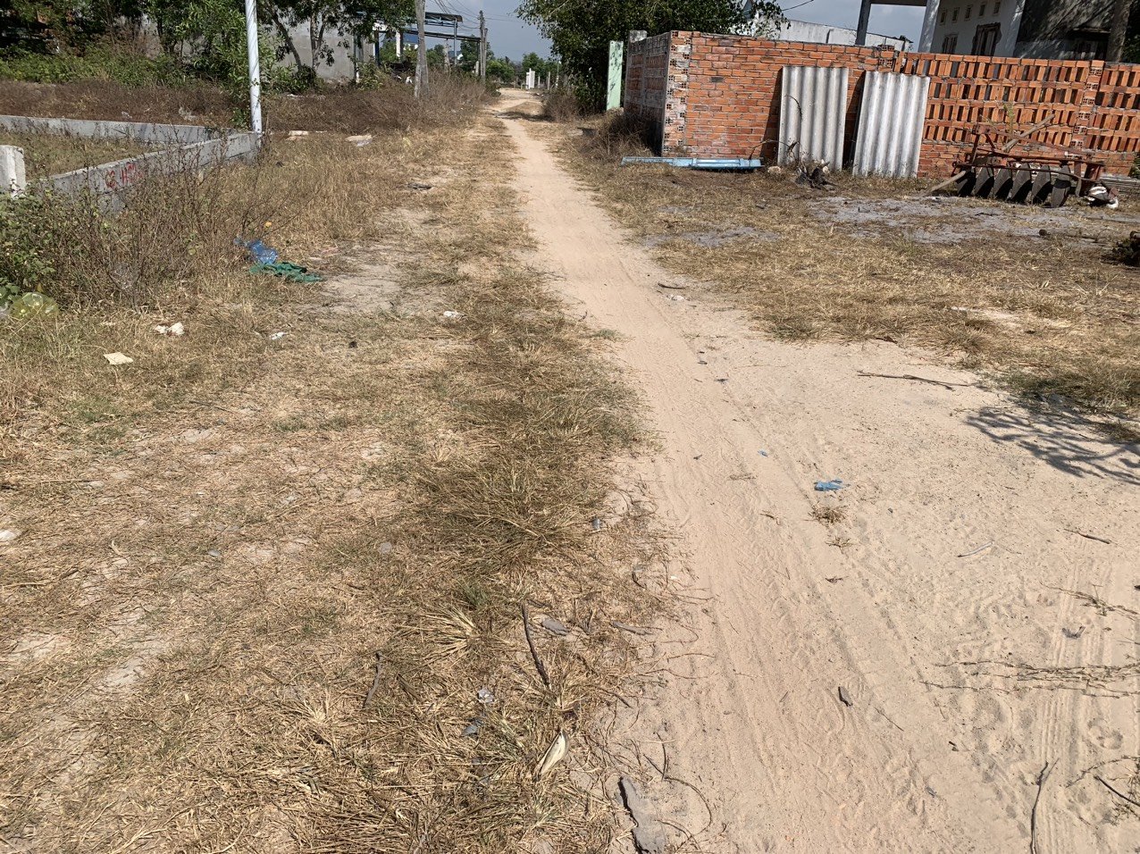 Cần bán Đất đường Nguyễn Thông, Xã Tân Bình, Diện tích 121m², Giá 1 Tỷ 6