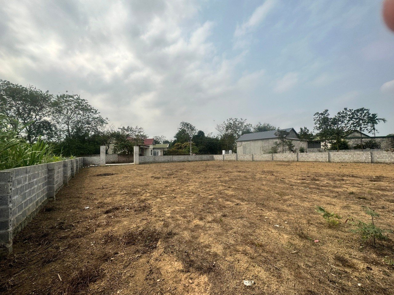 Cần bán Đất Xã Nhuận Trạch, Lương Sơn, Diện tích 781m², Giá Thương lượng 5
