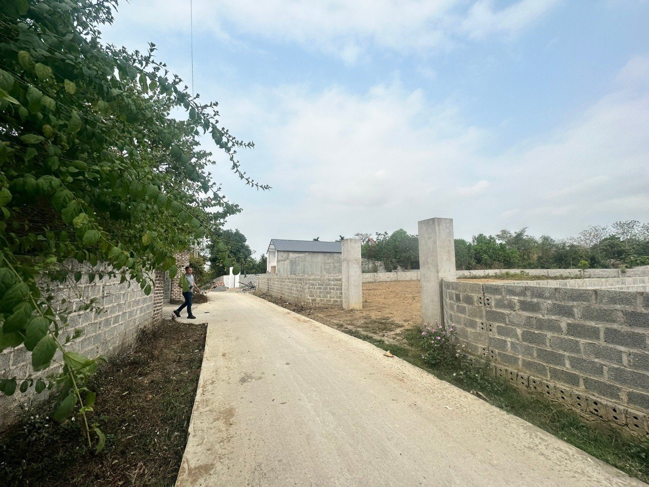 Cần bán Đất Xã Nhuận Trạch, Lương Sơn, Diện tích 781m², Giá Thương lượng 6