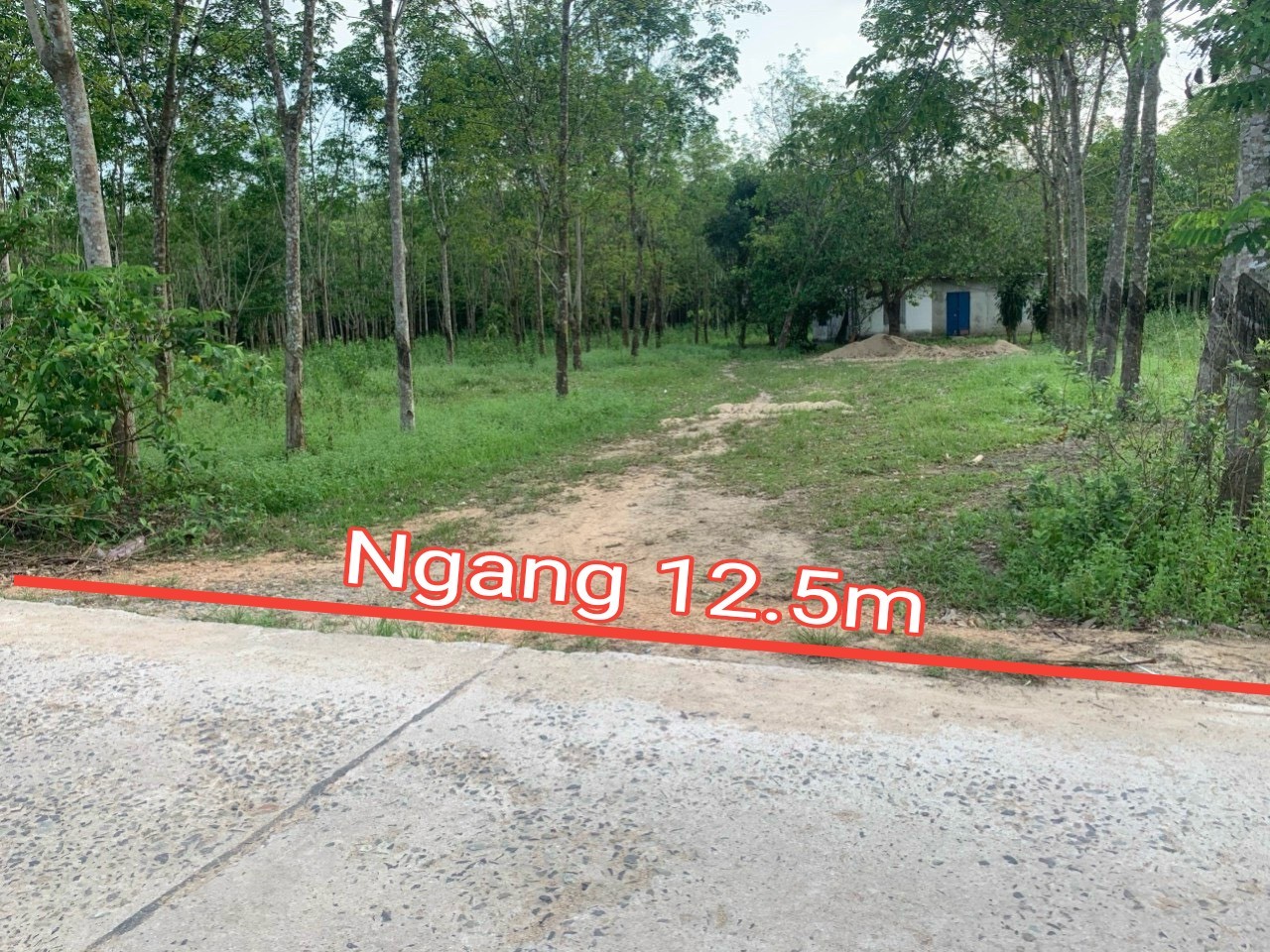 Bán đất vườn Khánh Đông giá rẻ quy hoạch thổ cư gần trường học