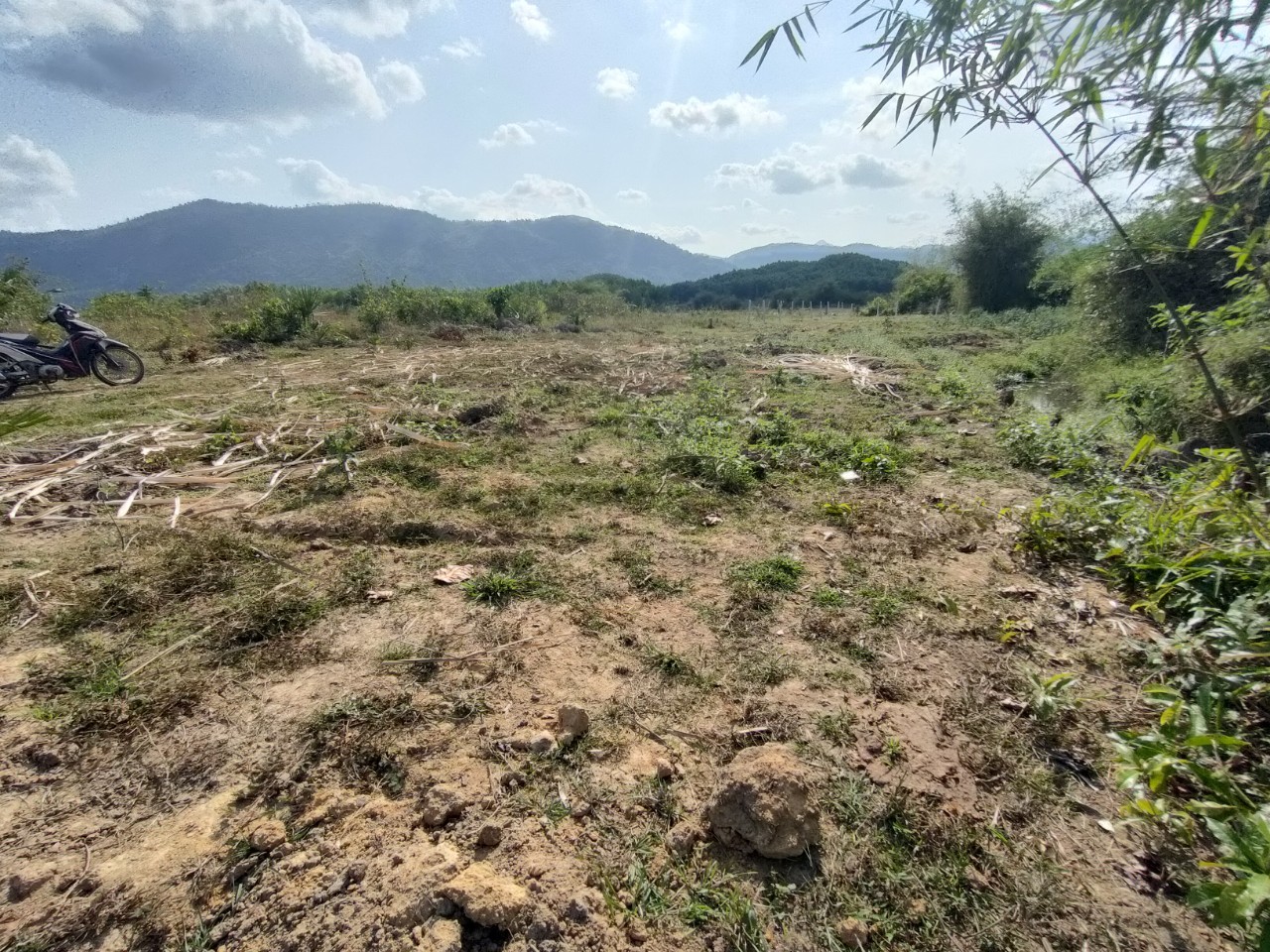 Bán đất vườn Khánh Hiệp giá rẻ giáp suối chảy quanh năm gần Tỉnh Lộ 8C 4