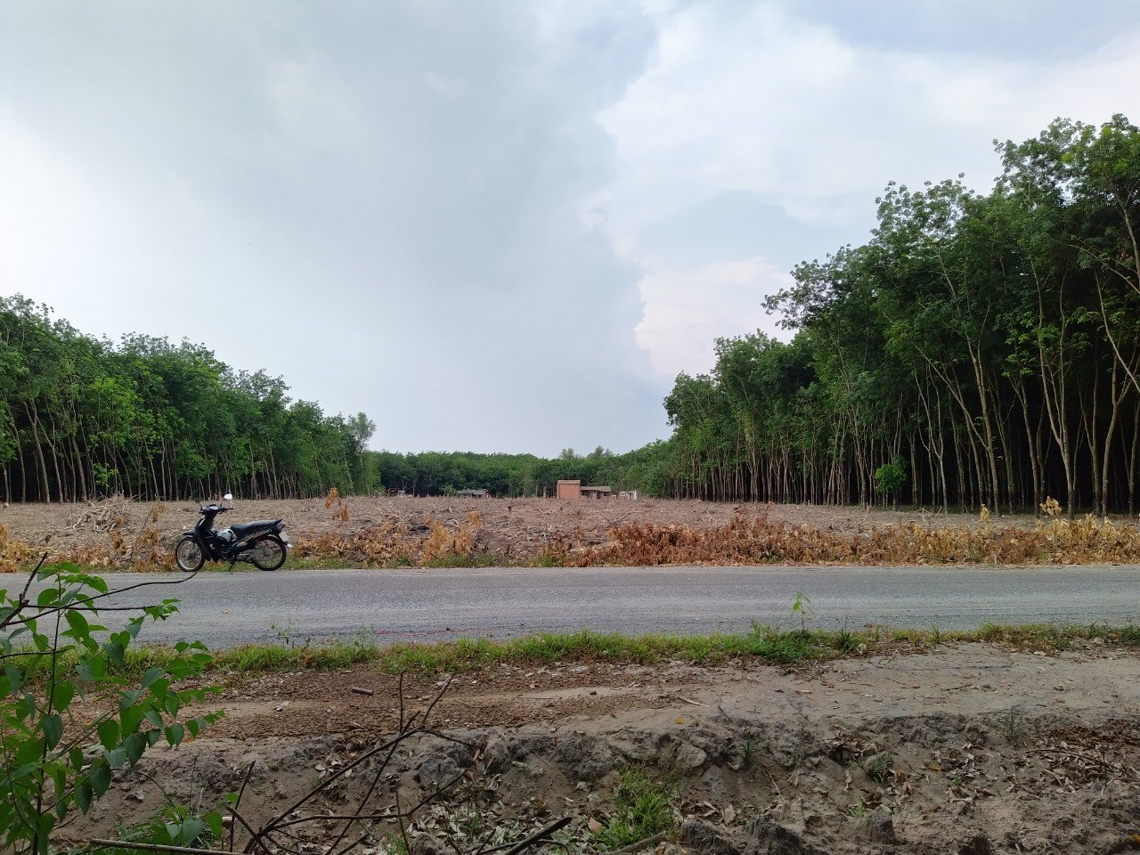 Cần mua 5000m2 đất Lộc Hòa, Lộc An, huyện Lộc Ninh, Tỉnh Bình Phước