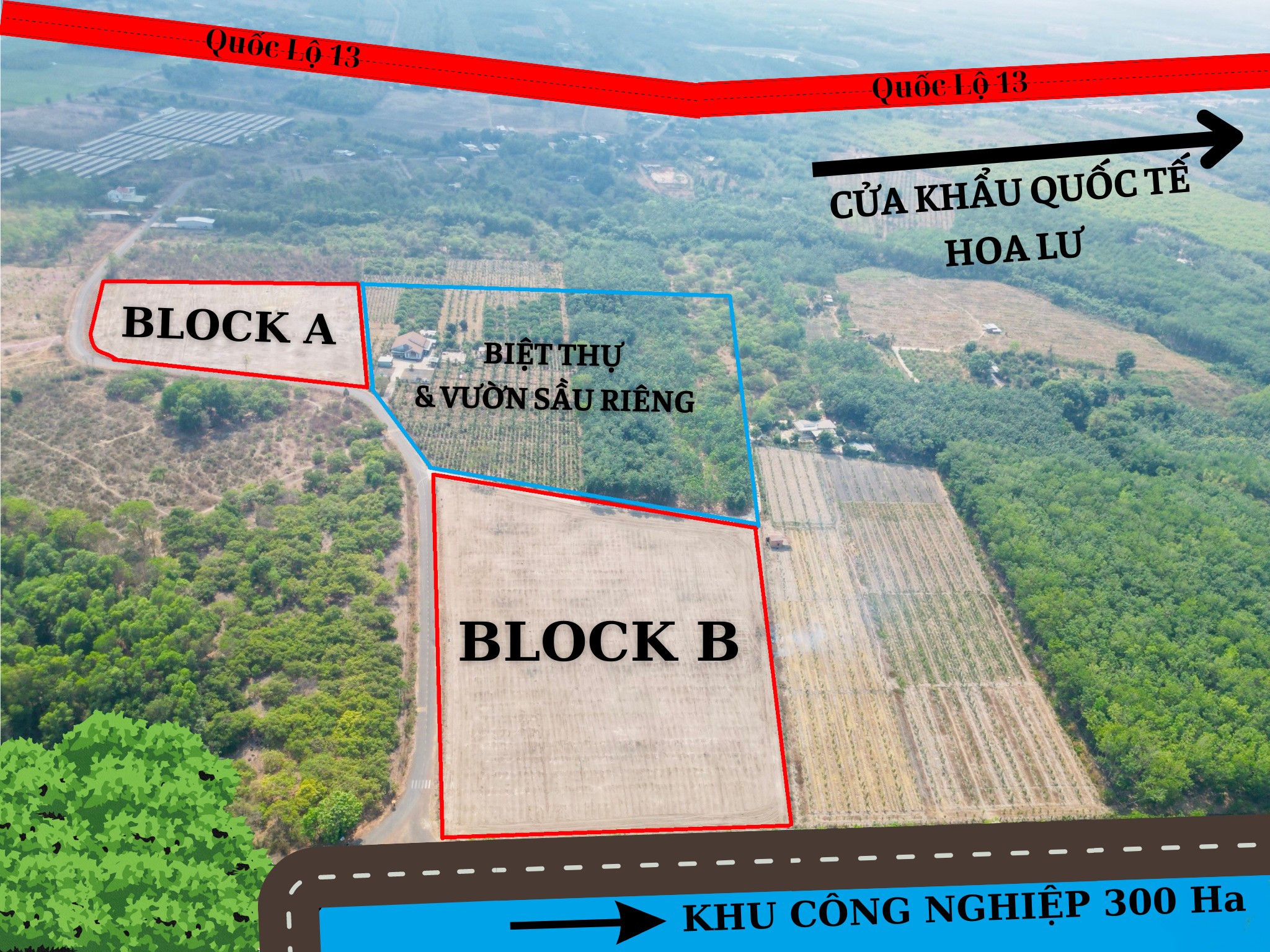 Đất nền sổ sẵn có thổ cư gần cửa khẩu Hoa Lư tại Bình Phước 1