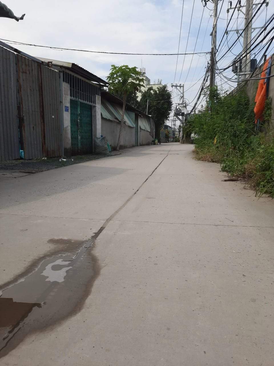 Đất thổ cư hẻm đường beton 5m 1B Vĩnh Lộc B dt 39m2 giá 1ty800 1