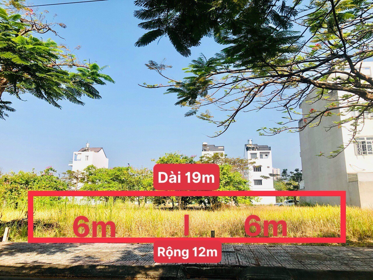 Cần bán Nhà mặt tiền đường Bưng Ông Thoàn, Phường Phú Hữu, Diện tích 114m², Giá 49 Triệu/m² 3