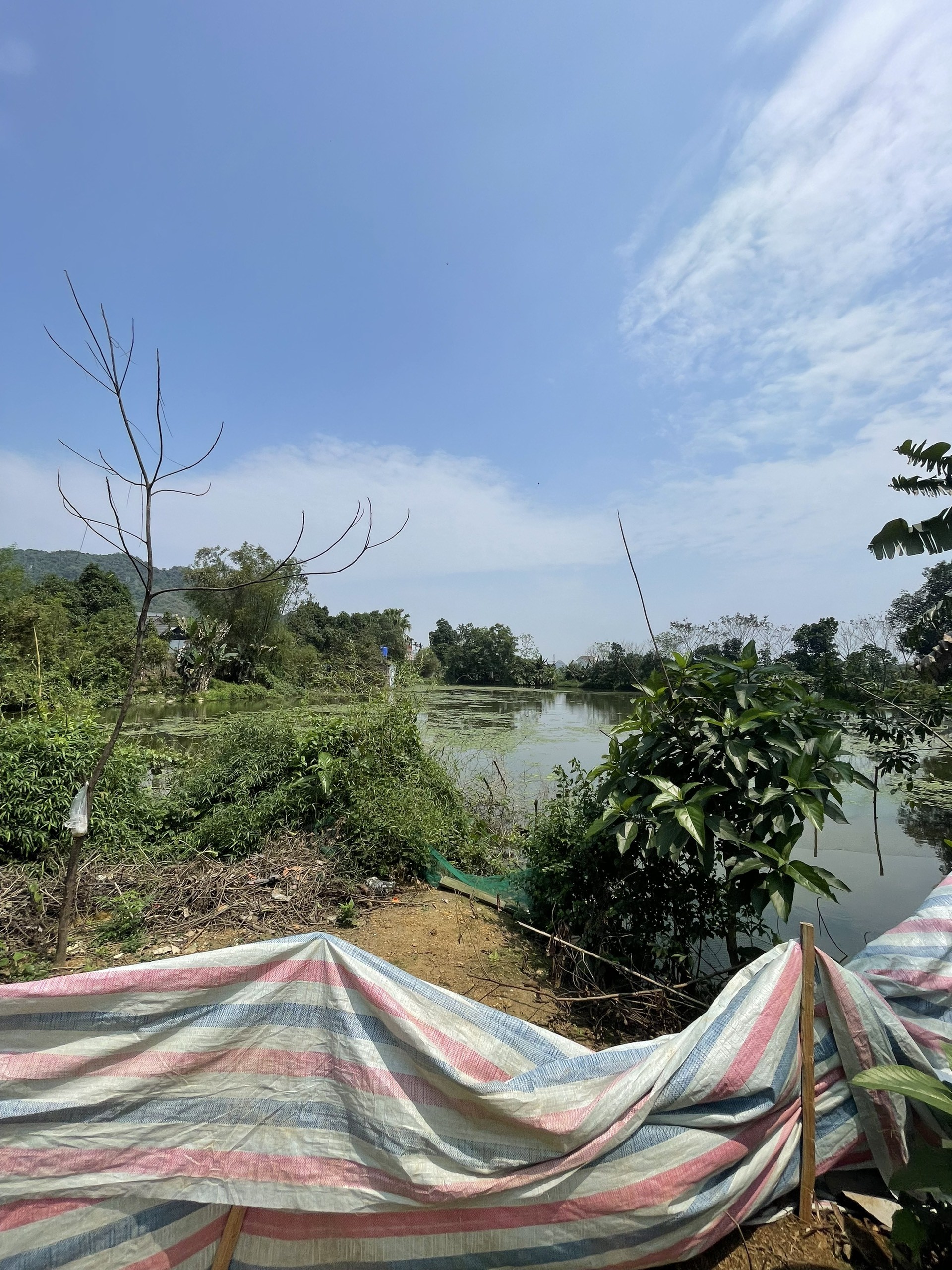 Cần bán Đất Xã Long Sơn, Lương Sơn, Diện tích 668m², Giá 1400000 Tỷ 3