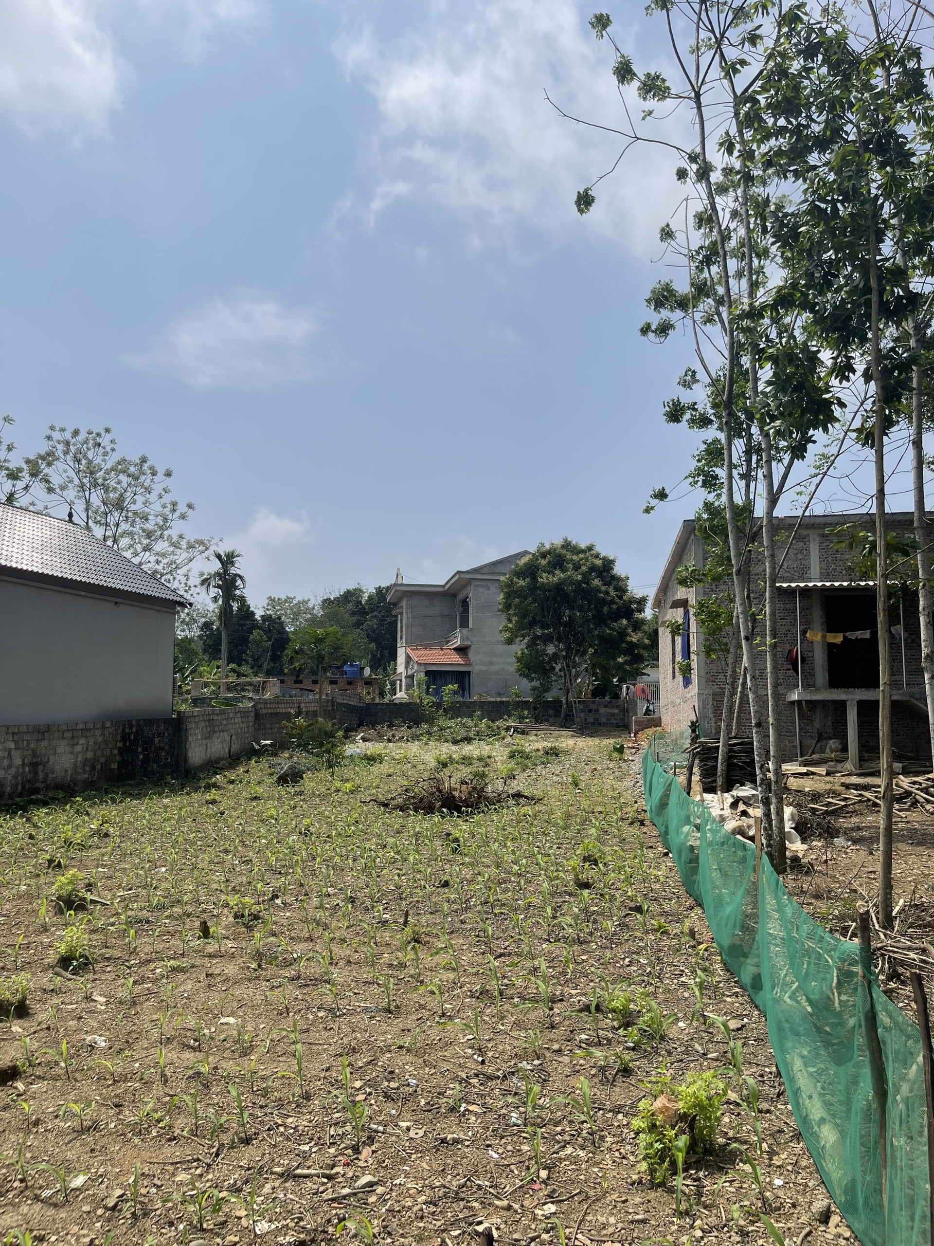 Cần bán Đất Xã Long Sơn, Lương Sơn, Diện tích 668m², Giá 1400000 Tỷ 5