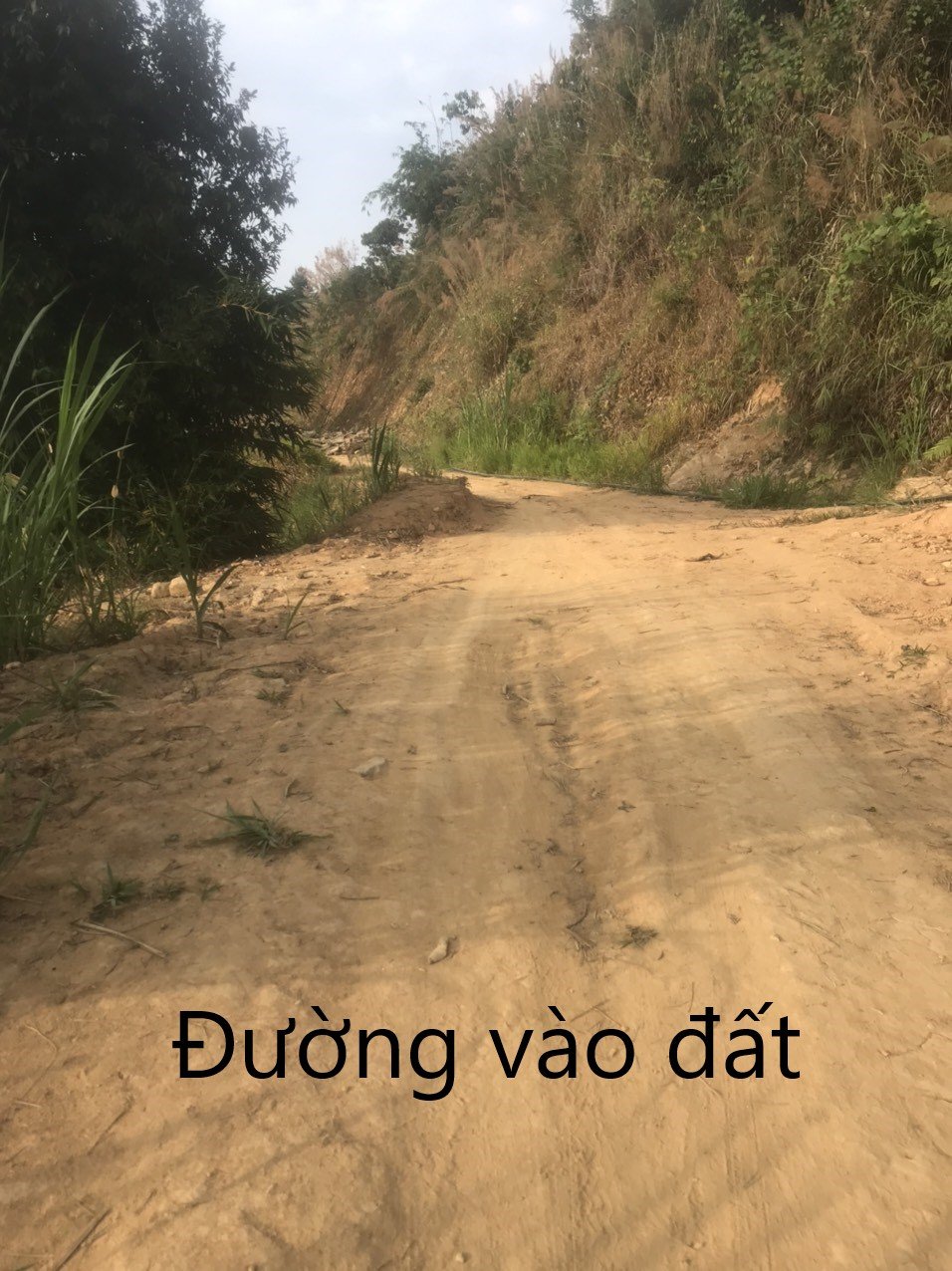 Cần bán Đất Xã Lộc Nam, Bảo Lâm, Diện tích 12818m², Giá 1.5 Tỷ 2