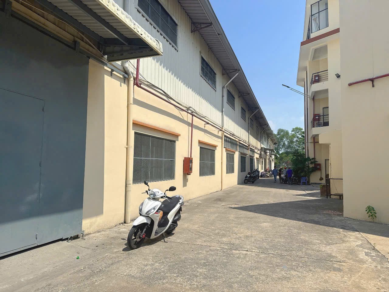 Cho thuê Kho - Nhà xưởng Phường Cát Lái, Quận 2, Diện tích 1300m², Giá 145 Triệu/tháng 2