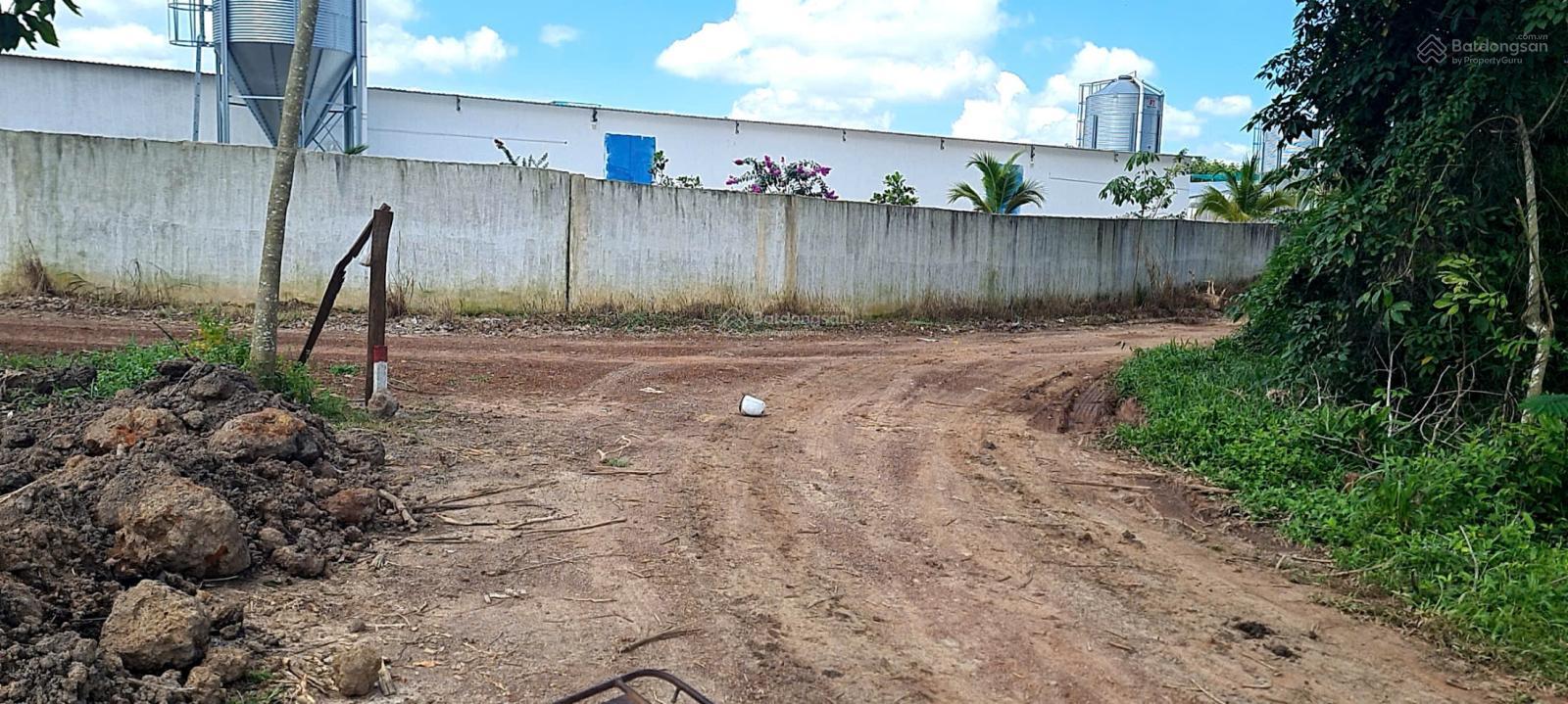 Cho thuê đất trống CLN tại xã An Long, TP. HCM, diện tích 4,5ha